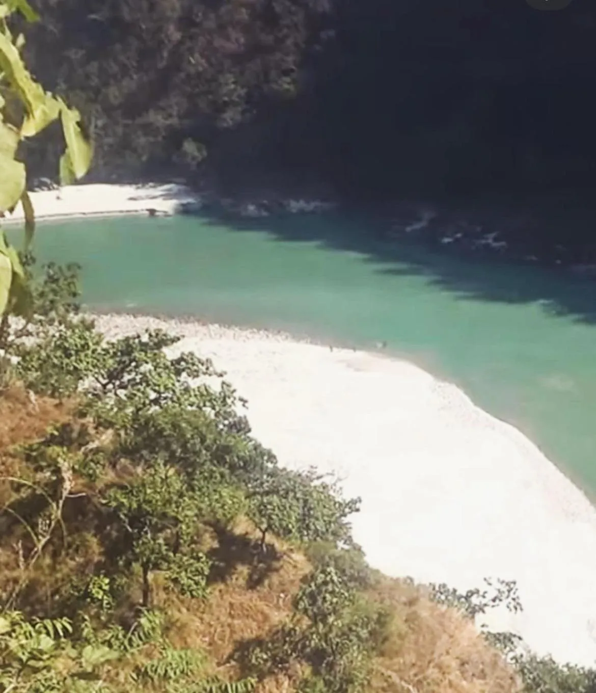 Samira's Birds & Butterflies Park-Spashram Ganga Beach Retreat