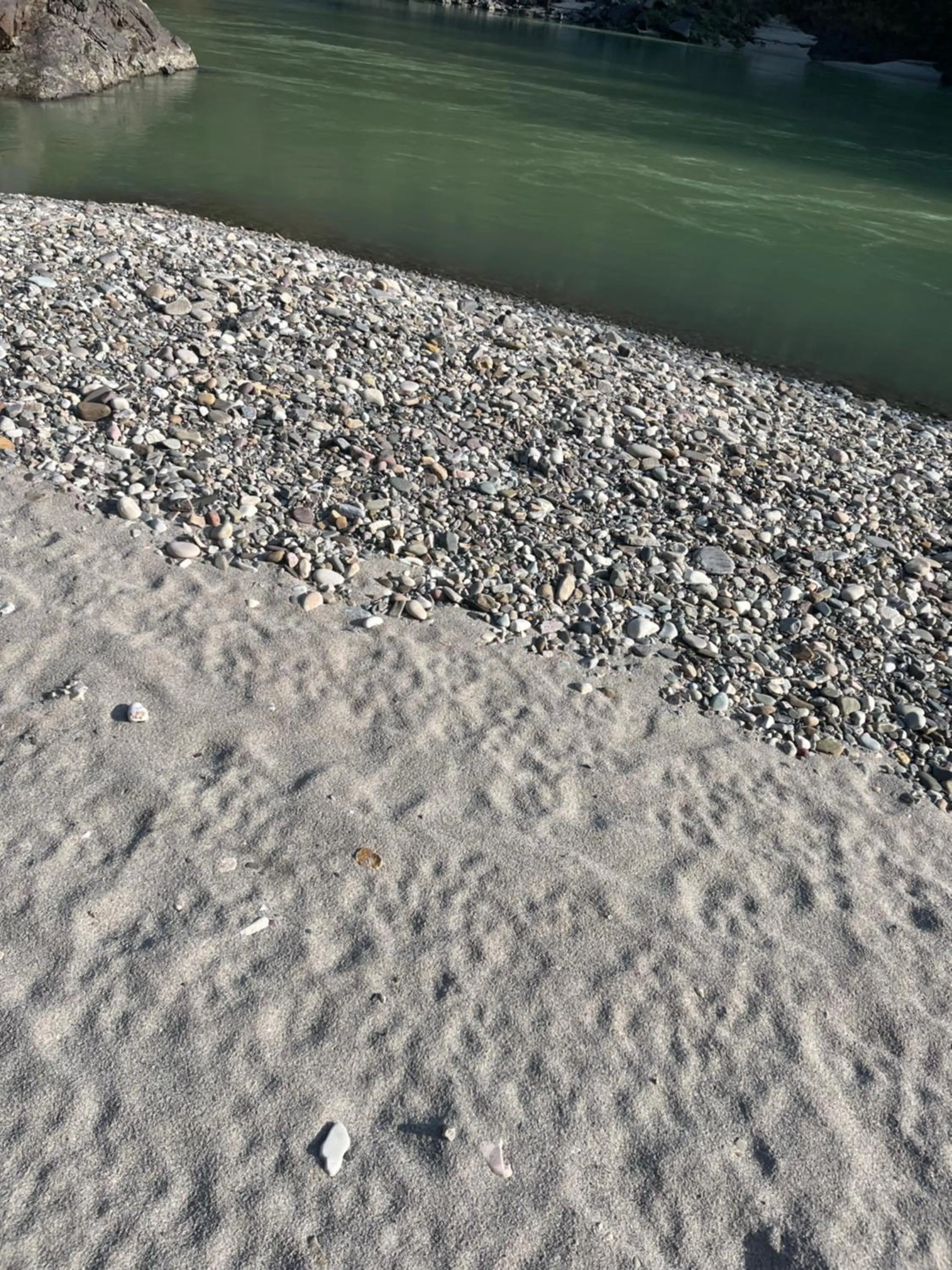 Samira's Birds & Butterflies Park-Spashram Ganga Beach Retreat