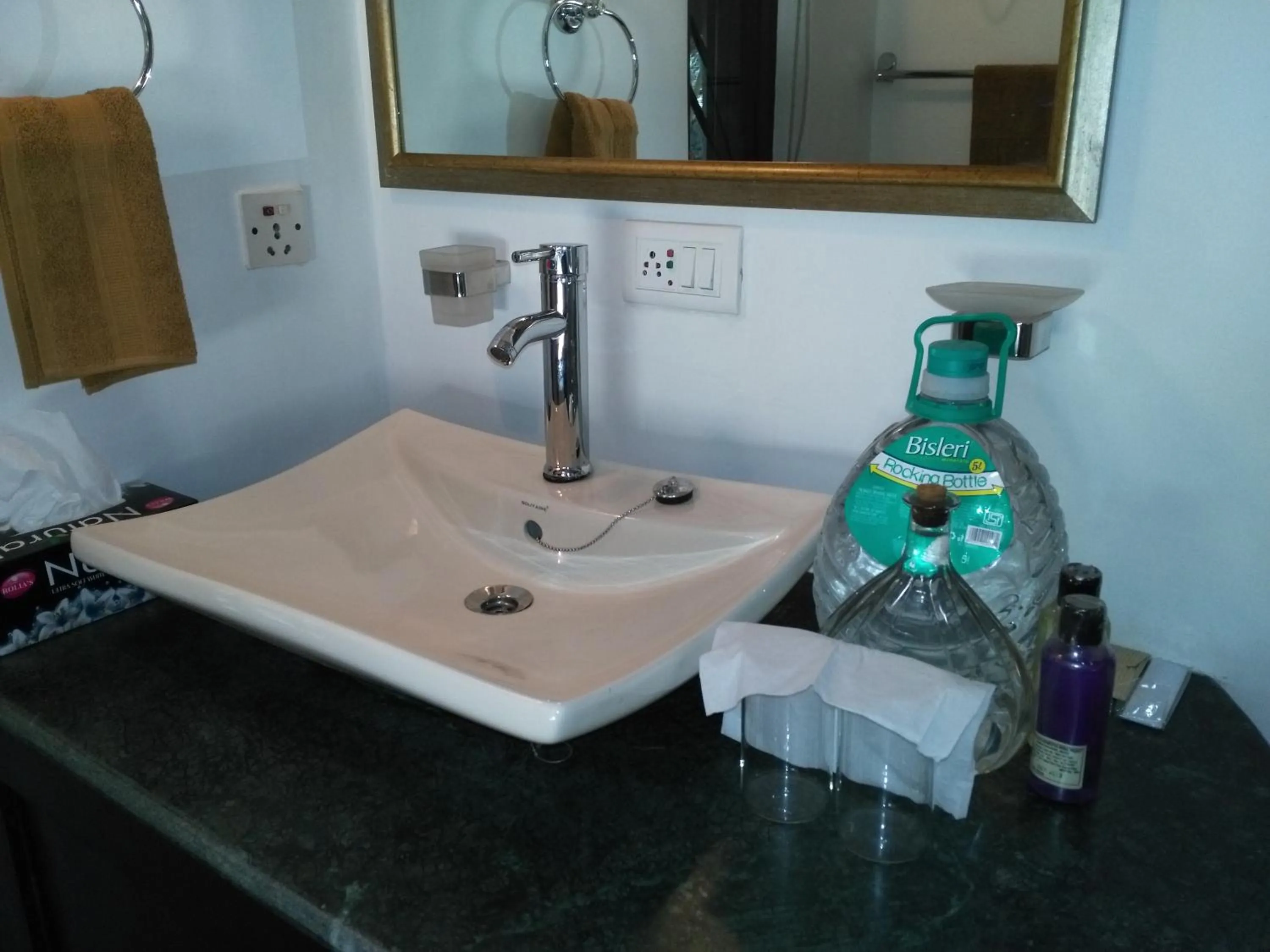 Decorative detail in Samira's Birds & Butterflies Park-Spashram Ganga Beach Retreat