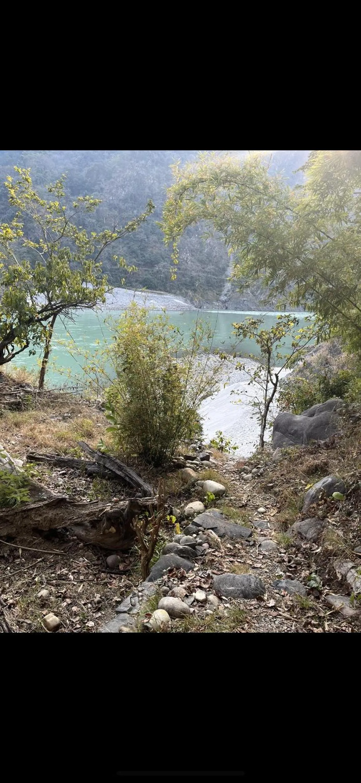 Samira's Birds & Butterflies Park-Spashram Ganga Beach Retreat