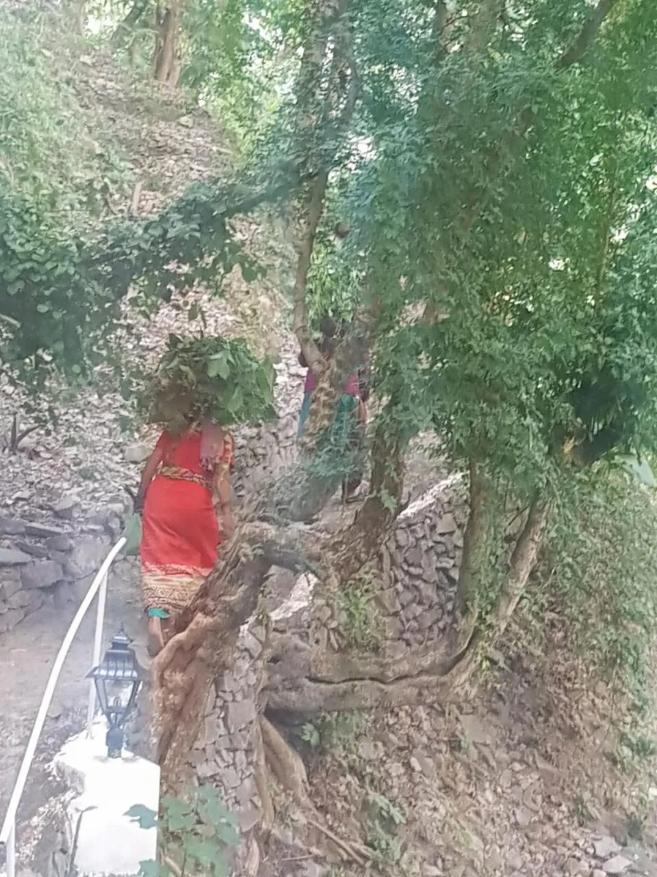 Natural landscape in Samira's Birds & Butterflies Park-Spashram Ganga Beach Retreat