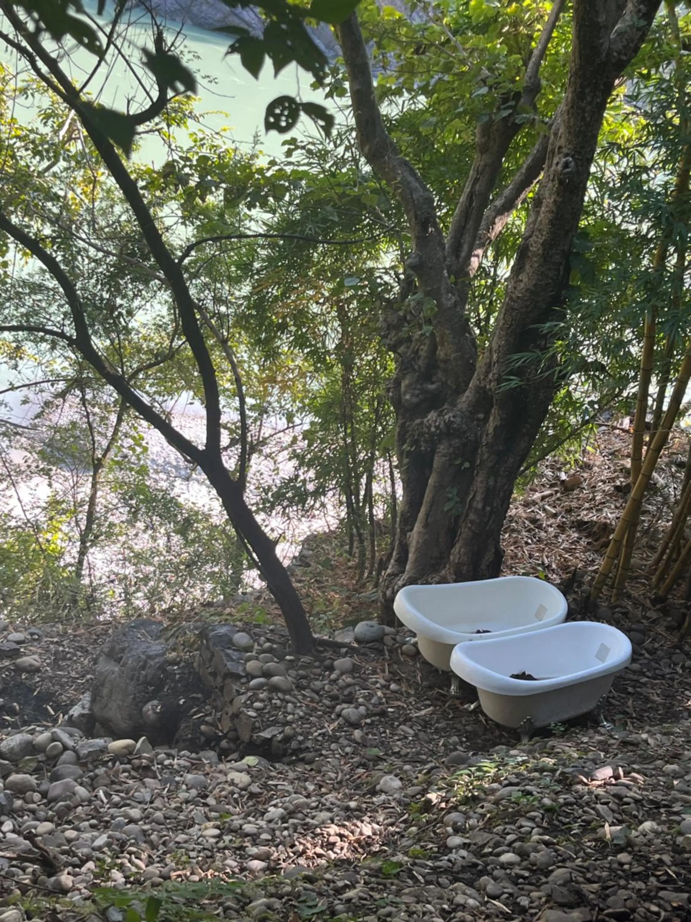 Samira's Birds & Butterflies Park-Spashram Ganga Beach Retreat