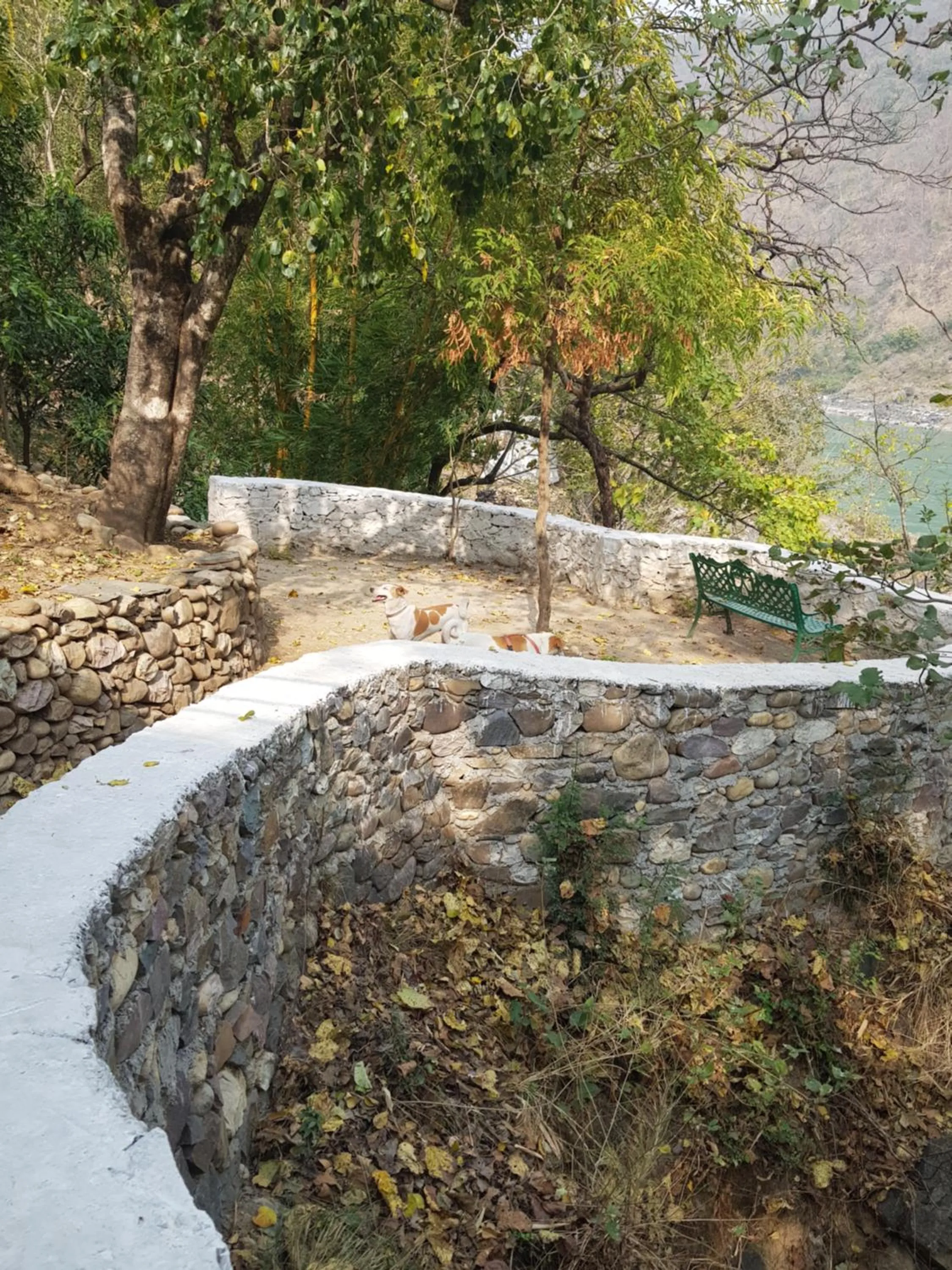 Natural landscape in Samira's Birds & Butterflies Park-Spashram Ganga Beach Retreat