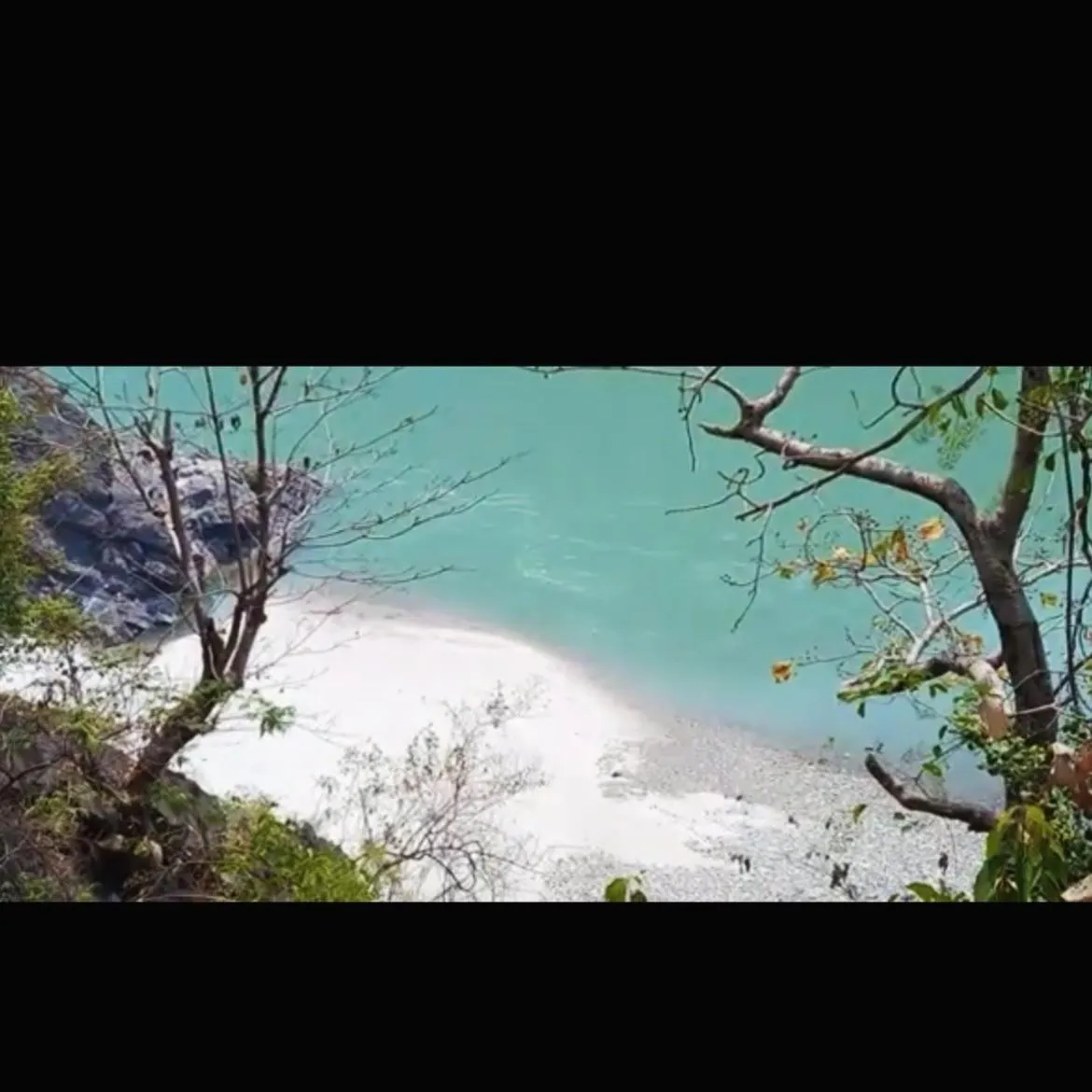 Samira's Birds & Butterflies Park-Spashram Ganga Beach Retreat