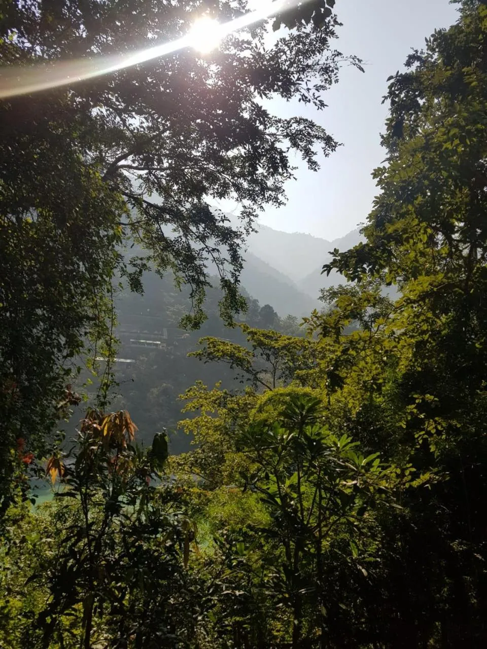 Natural landscape in Samira's Birds & Butterflies Park-Spashram Ganga Beach Retreat