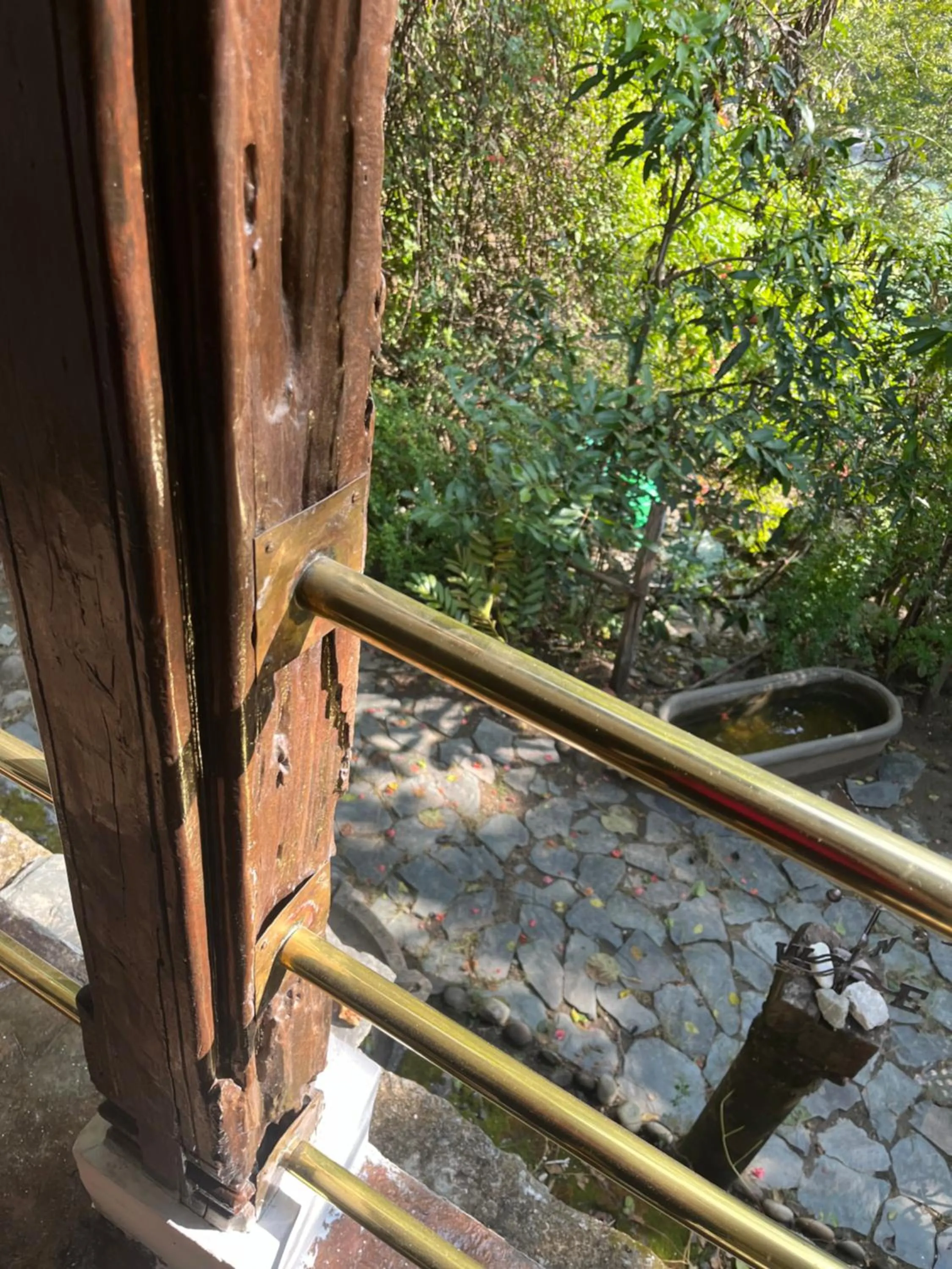 Samira's Birds & Butterflies Park-Spashram Ganga Beach Retreat