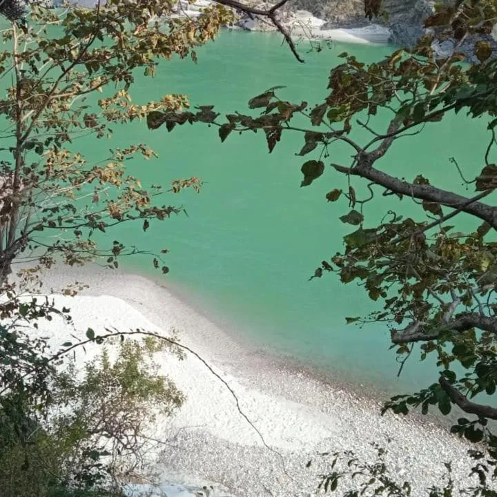 Natural landscape in Samira's Birds & Butterflies Park-Spashram Ganga Beach Retreat