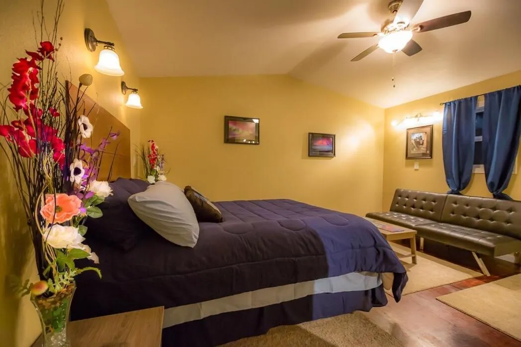 talkeetna villas and tours