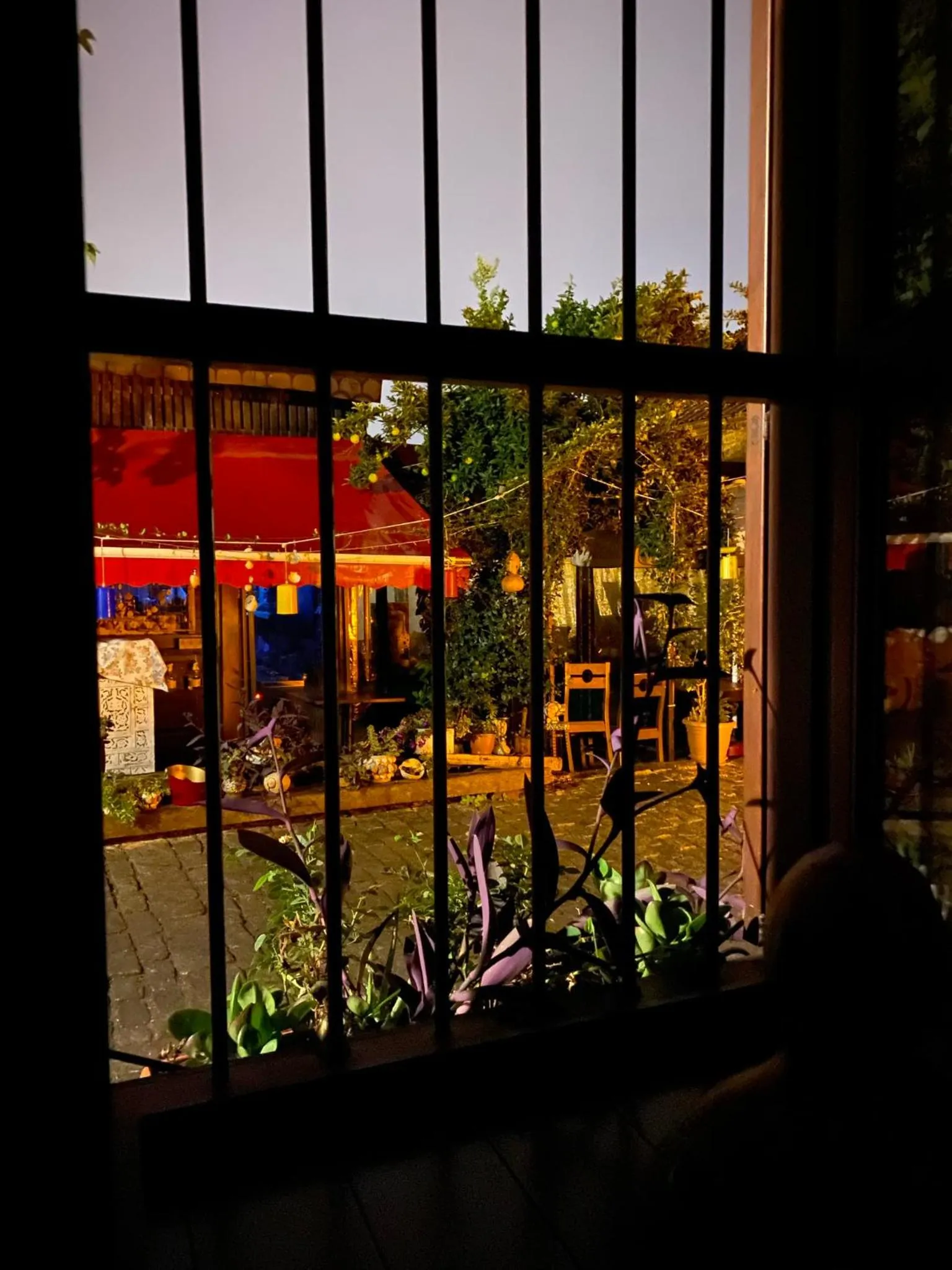 Garden view in Harmony Butik Otel