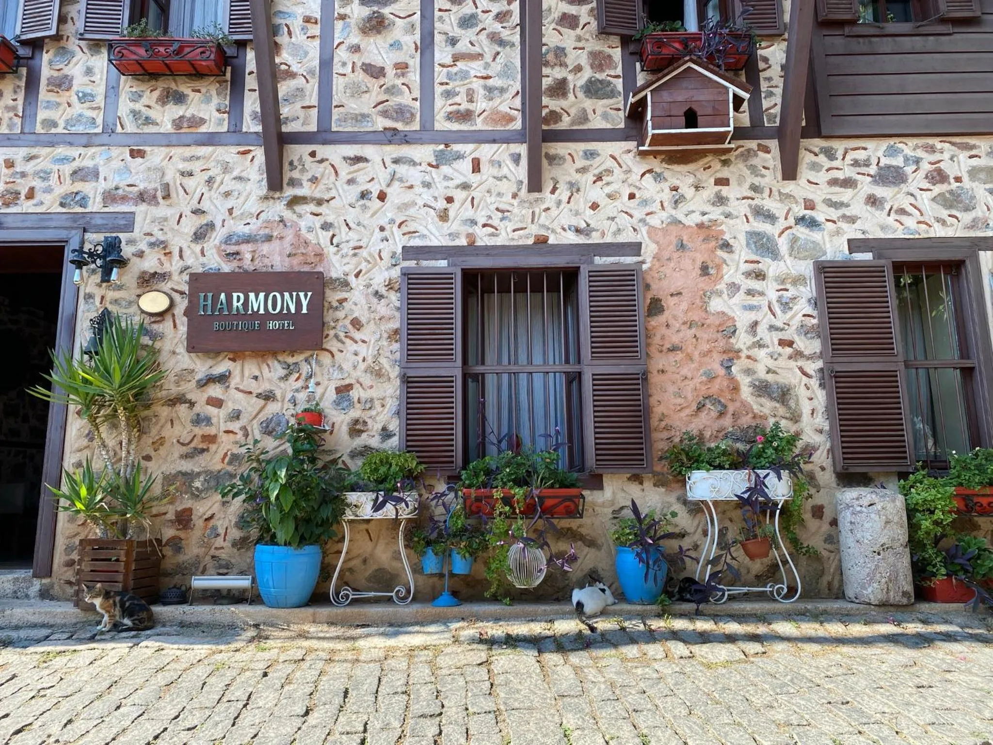Facade/entrance in Harmony Butik Otel