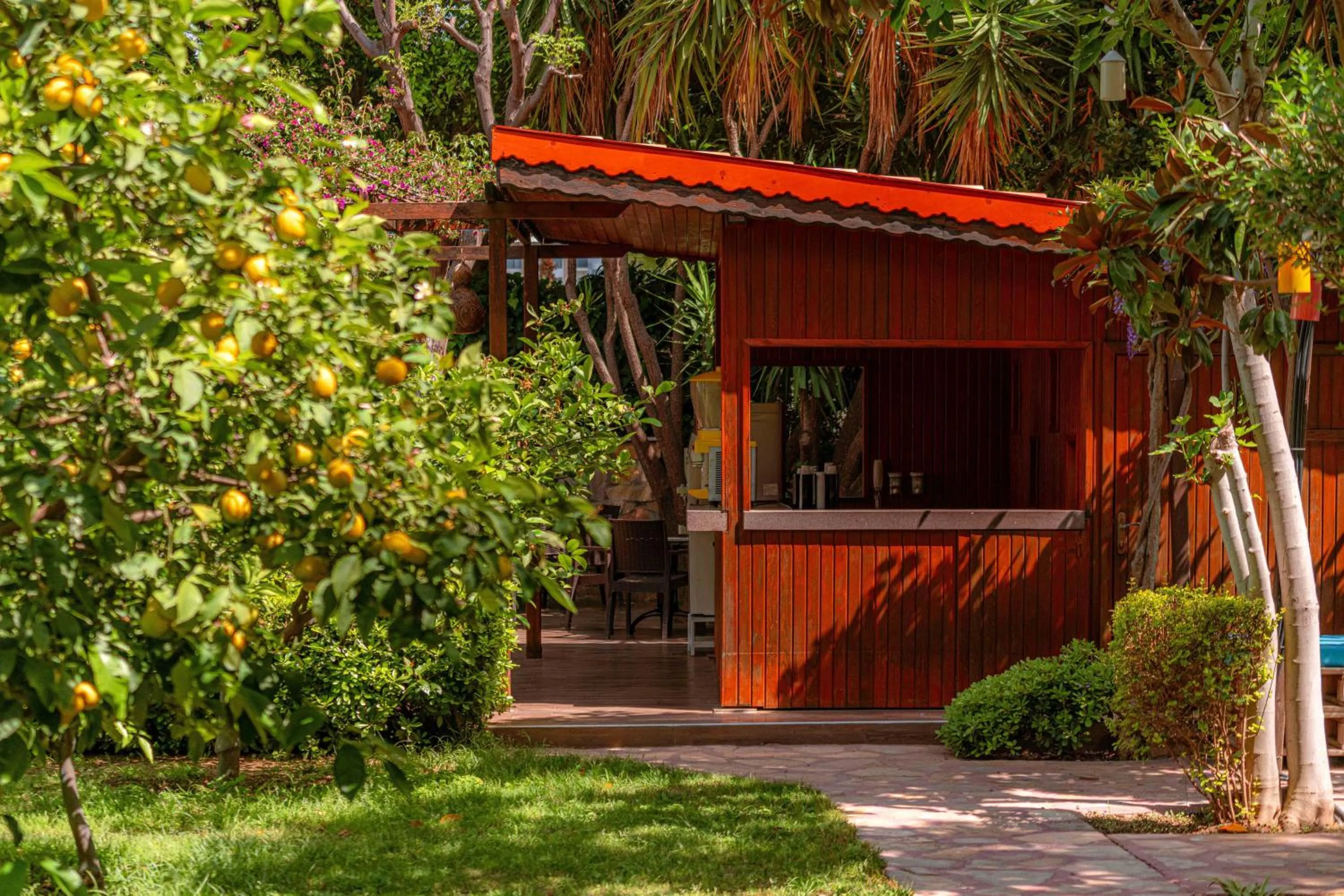 Garden in Telatiye Resort Hotel