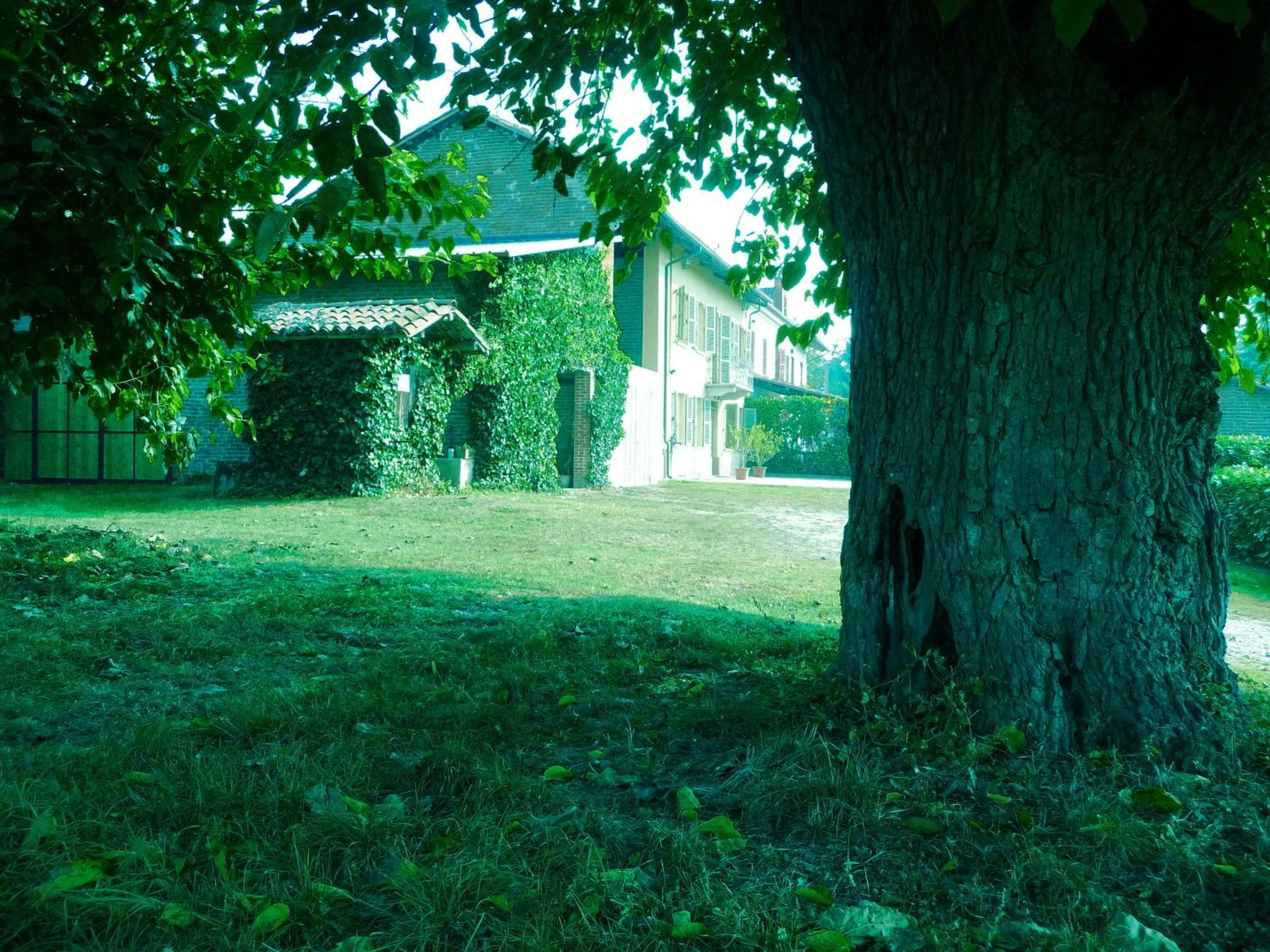 Garden in B&B Cascina Bricchetto