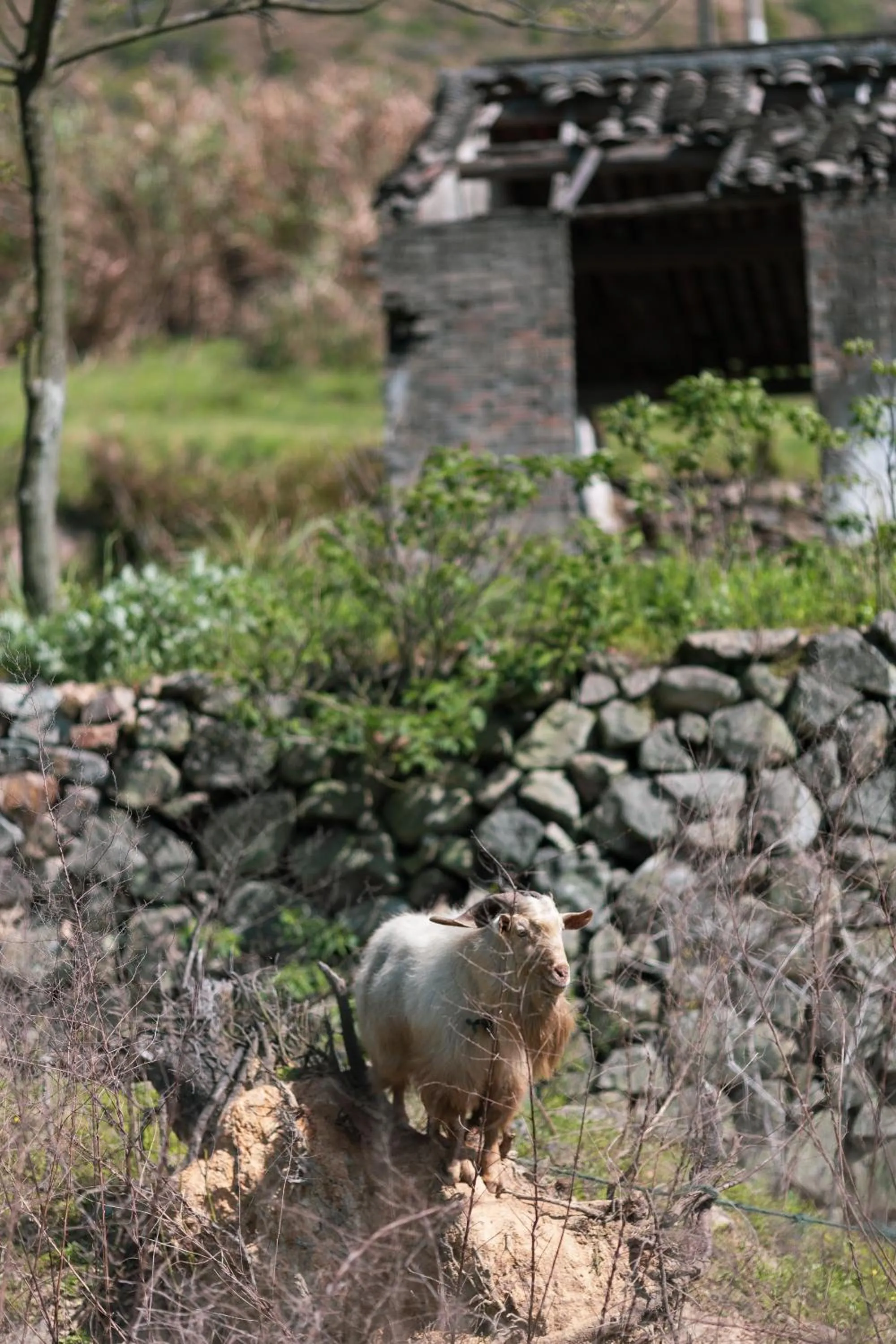 Natural landscape in Bloom Over The Sea by JinSpecial