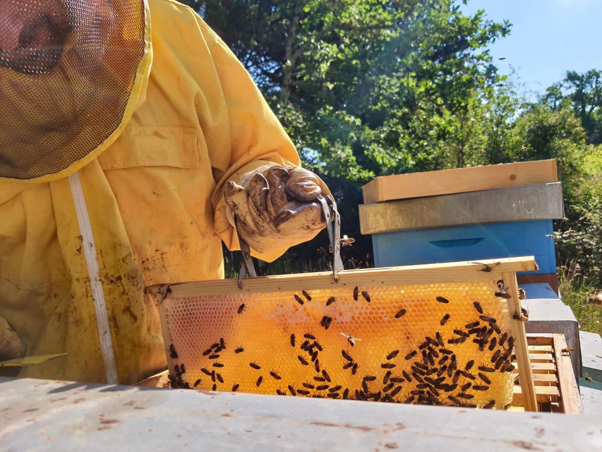 Day in Castello Di Meleto