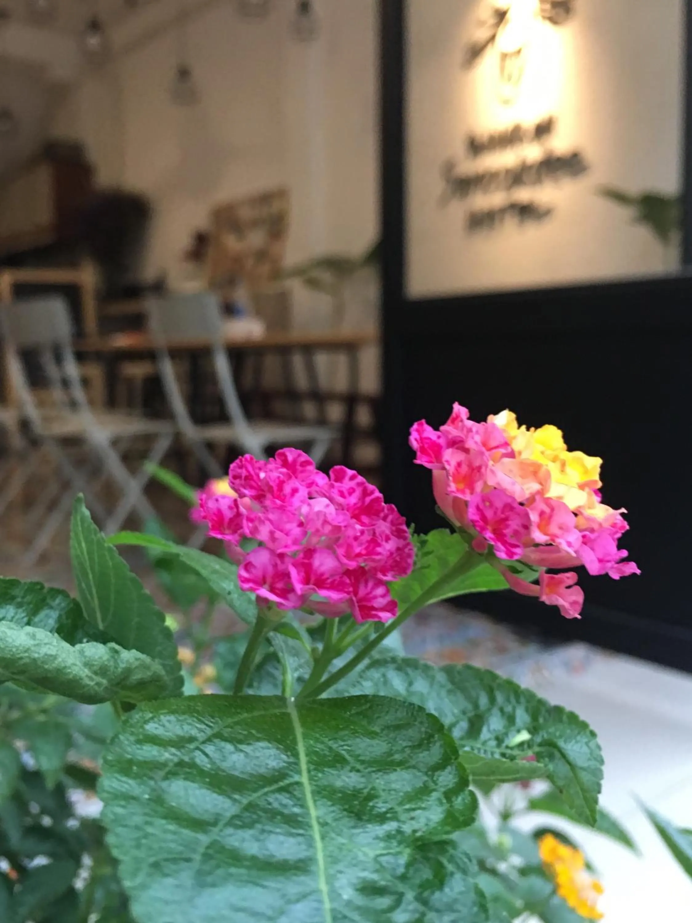 Facade/entrance in Bangkok Sanookdee Hostel