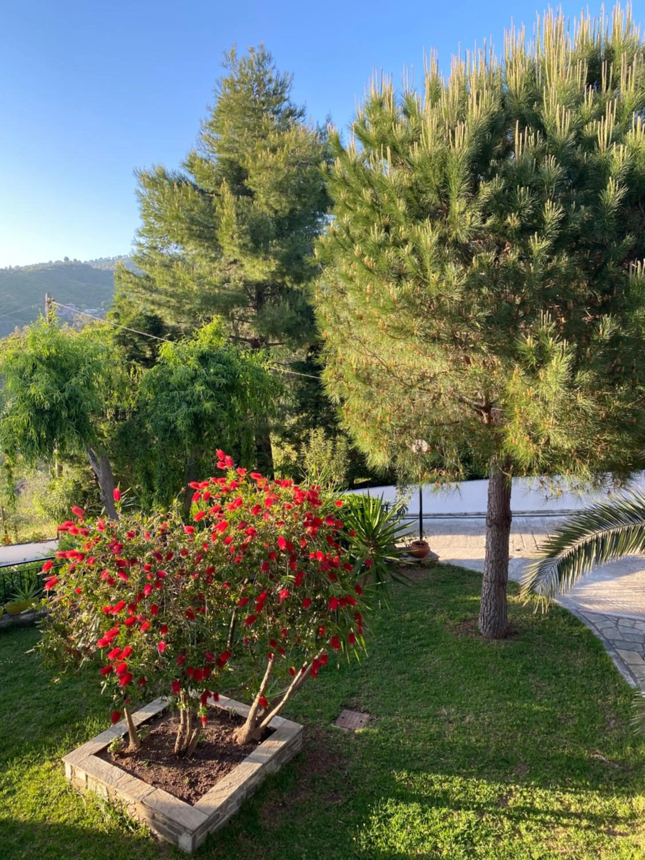 Garden in Villa Xanthippi