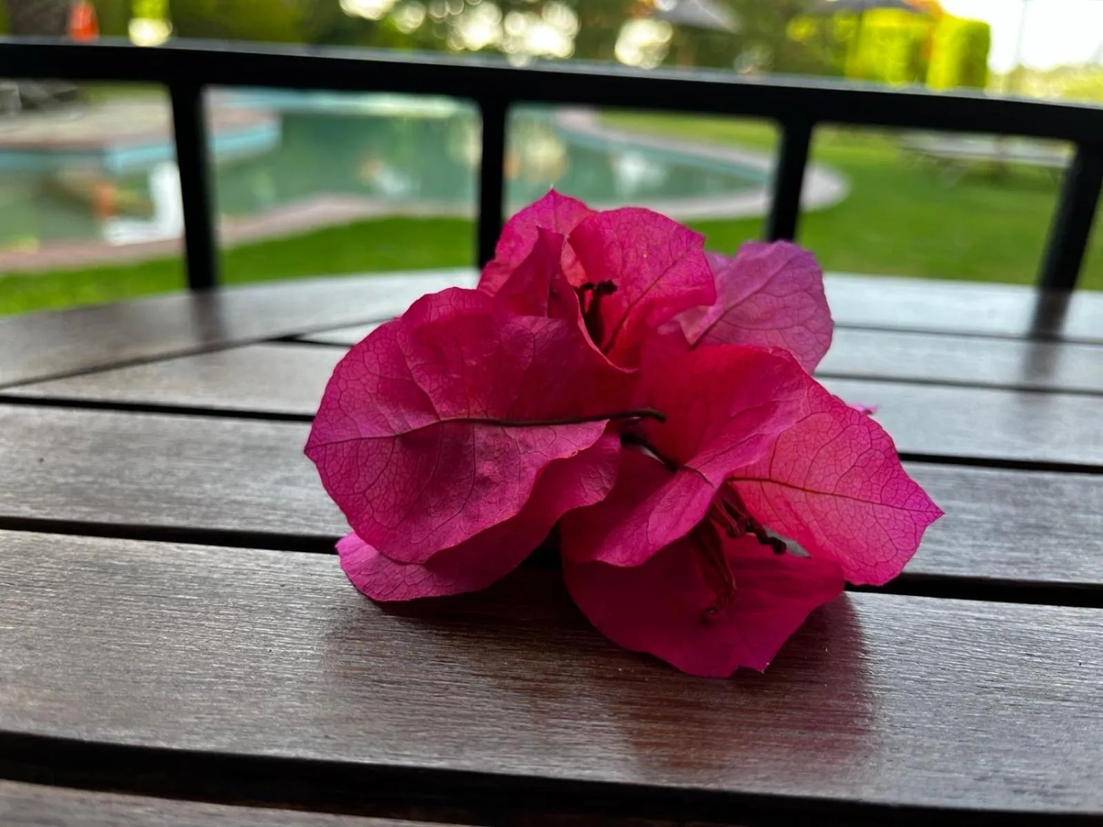 Balcony/Terrace in Villa Xanthippi
