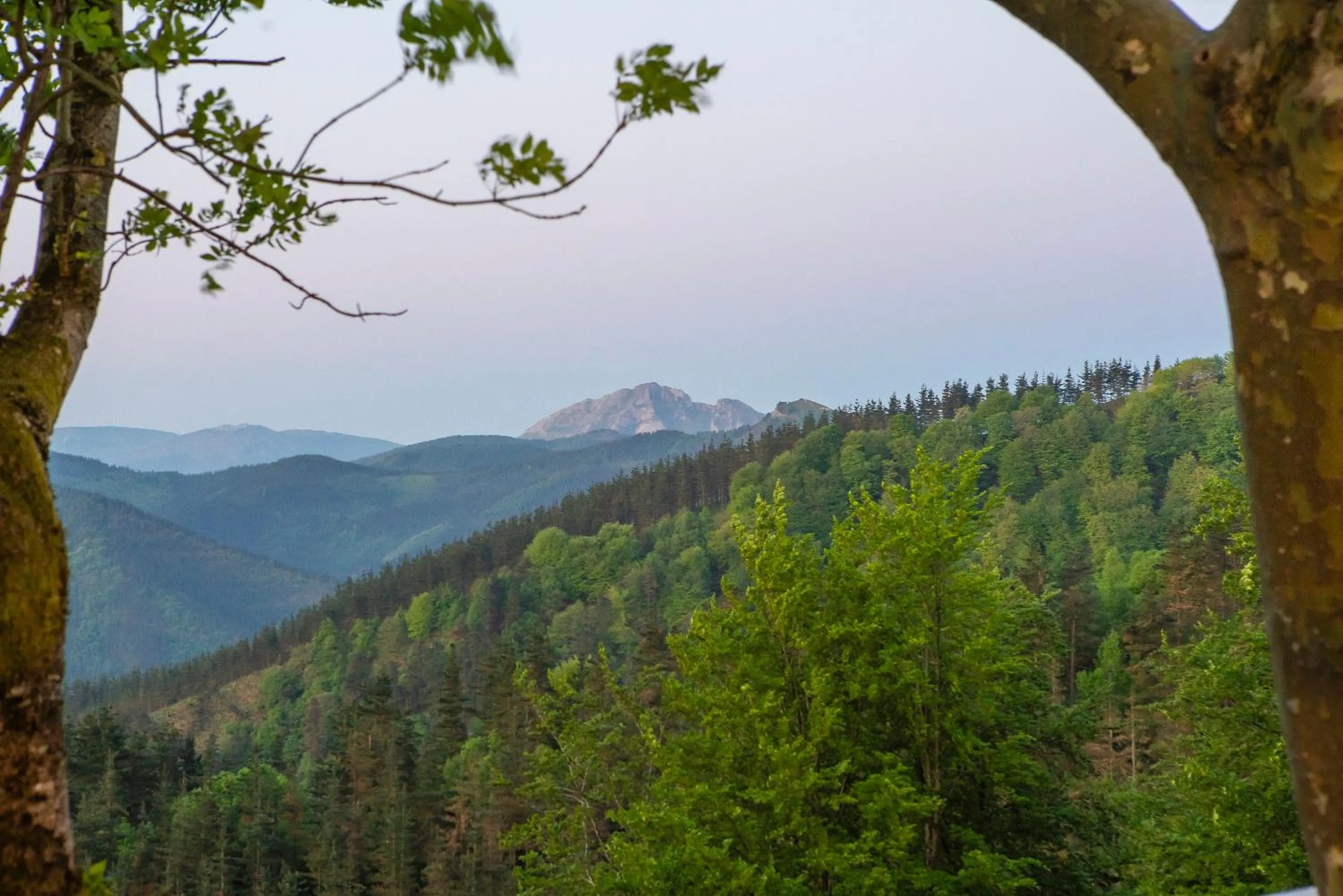 Natural landscape in IXUA Hotela