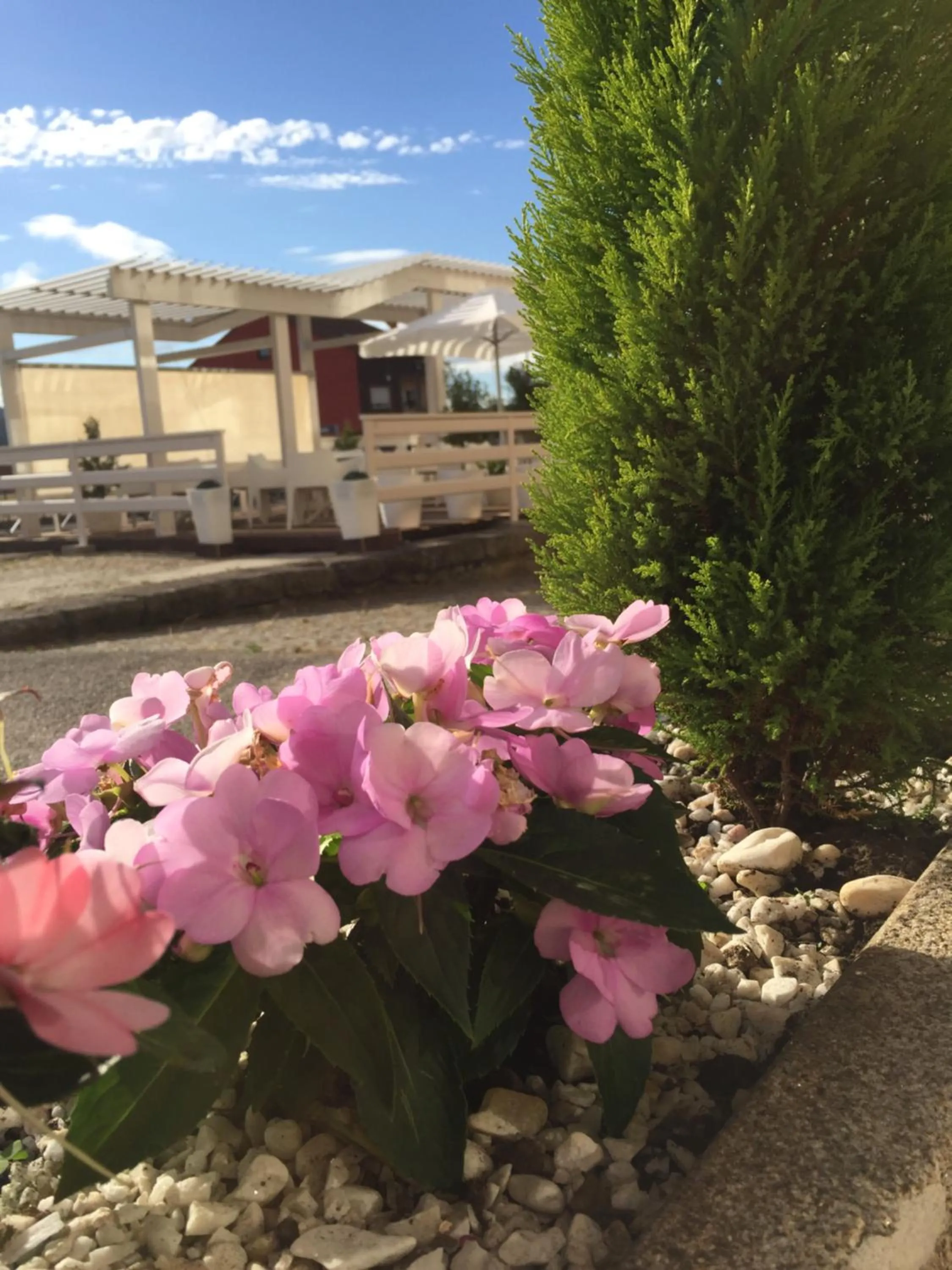 Balcony/Terrace in Hotel Rosalía