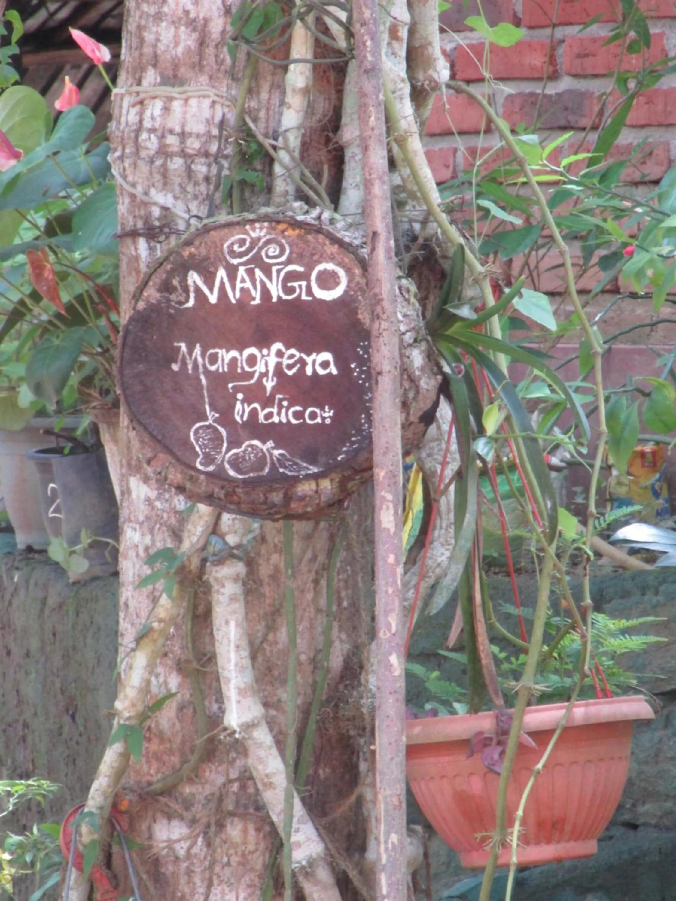 Green Herbal Ayurvedic Eco-Lodge