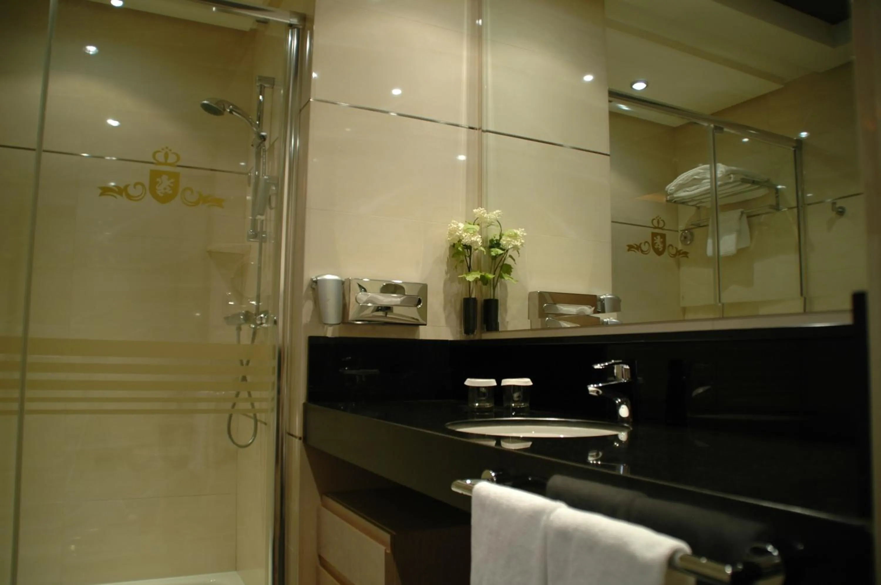 Shower in Washington Parquesol Suites & Hotel