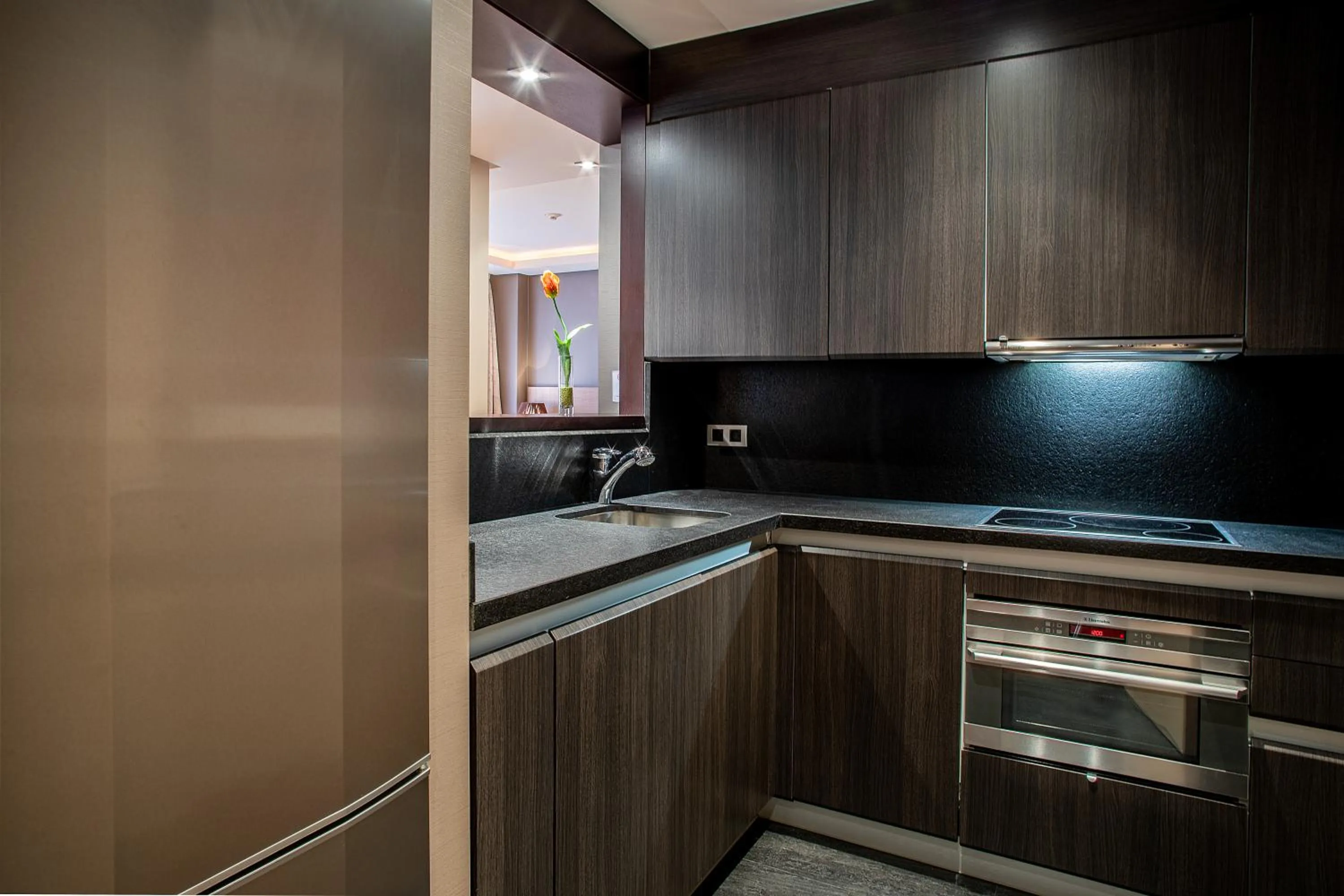 Kitchen or kitchenette in Washington Parquesol Suites & Hotel