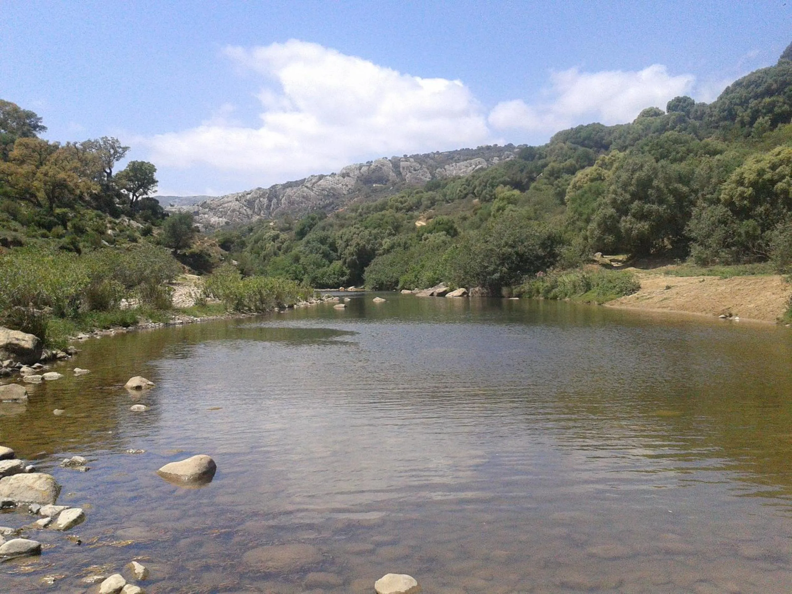 Fishing in La Palmosa