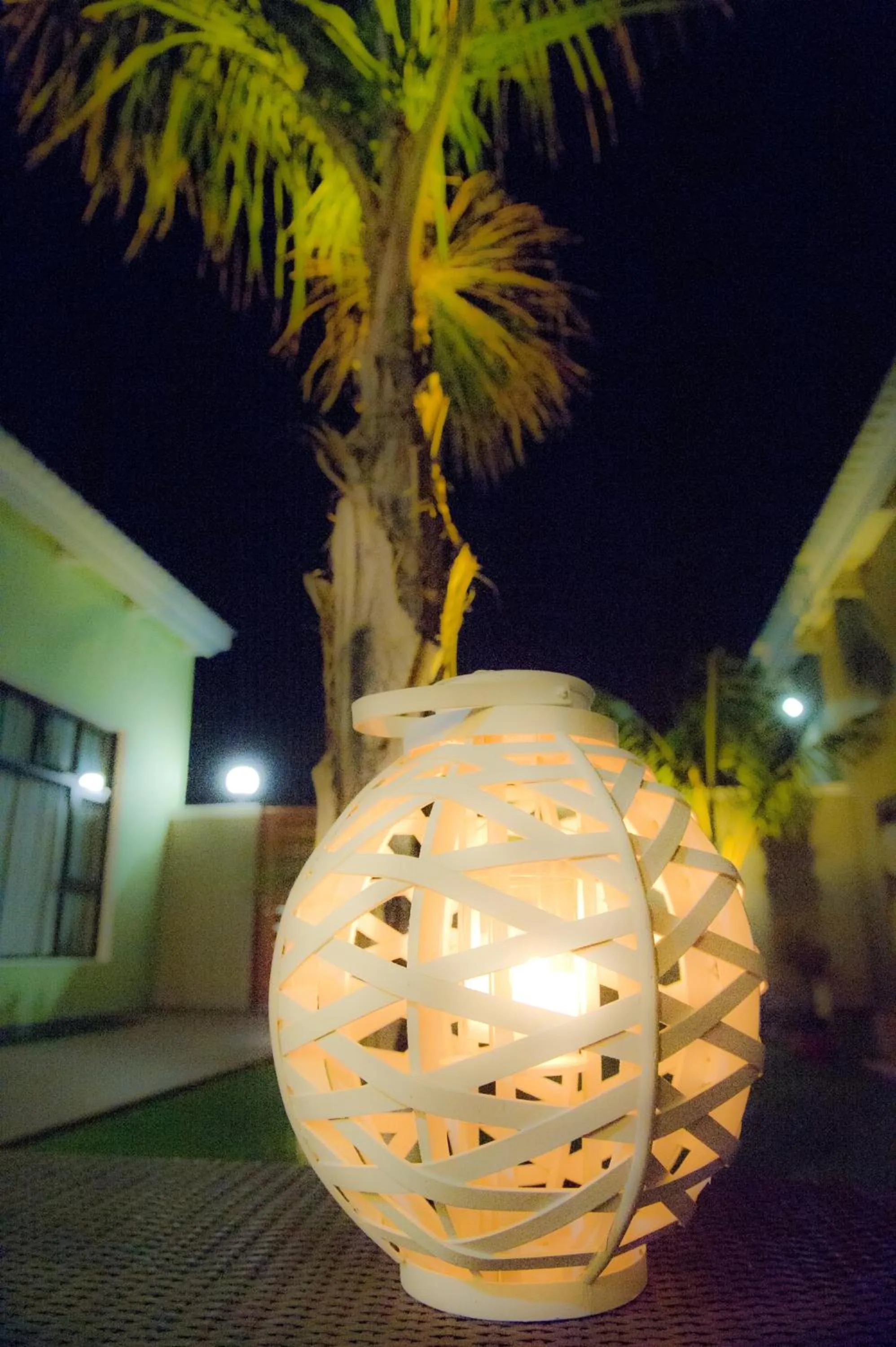 Night in Namib Guesthouse