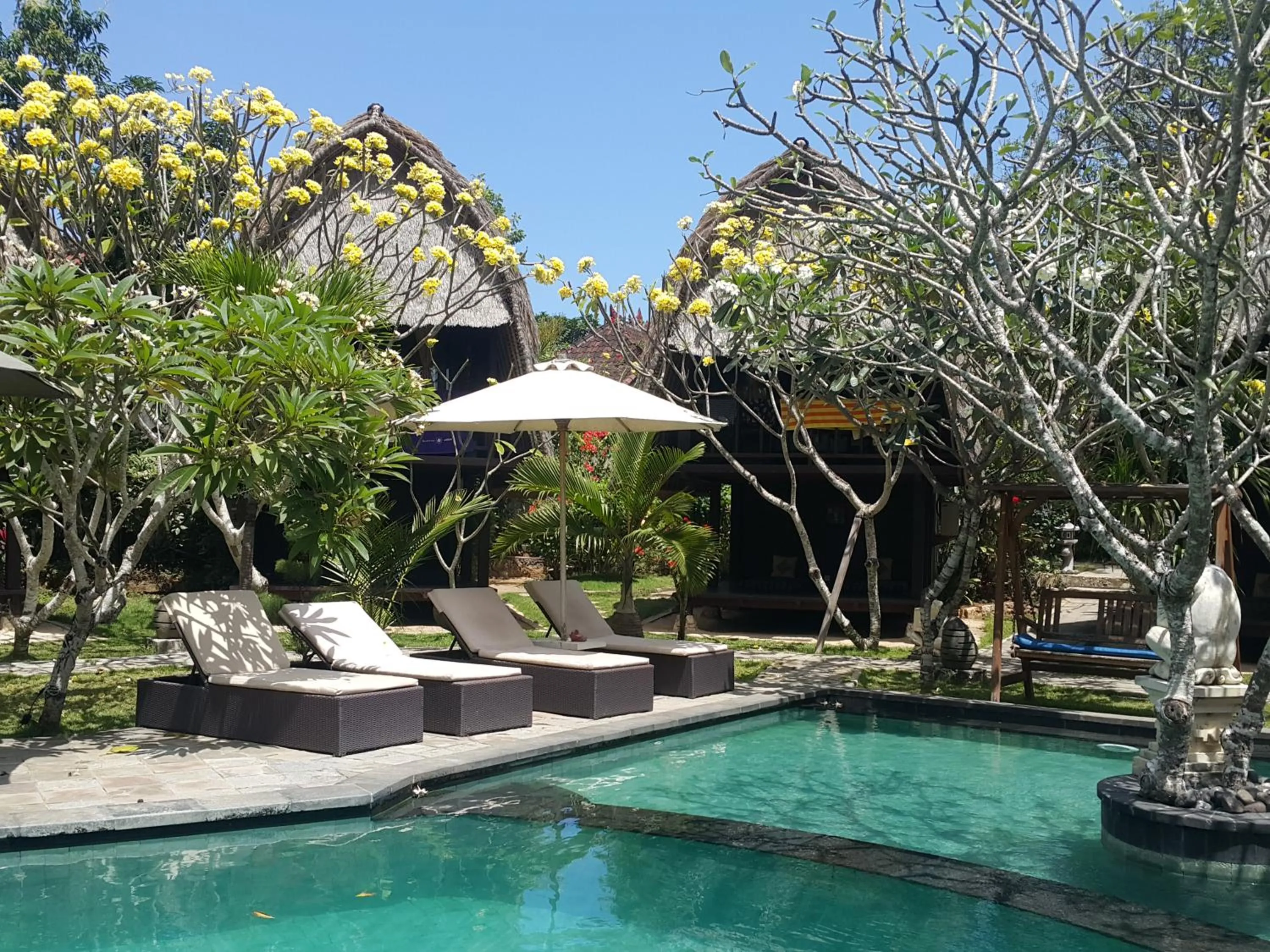 Swimming pool in Nanuk's Bungalows