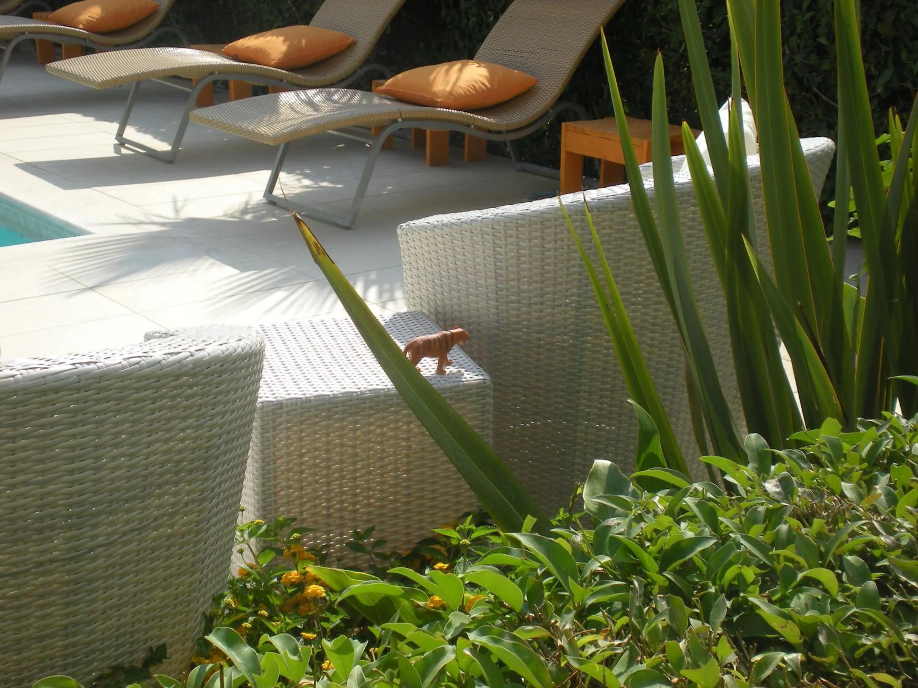 Decorative detail in Manolis' House