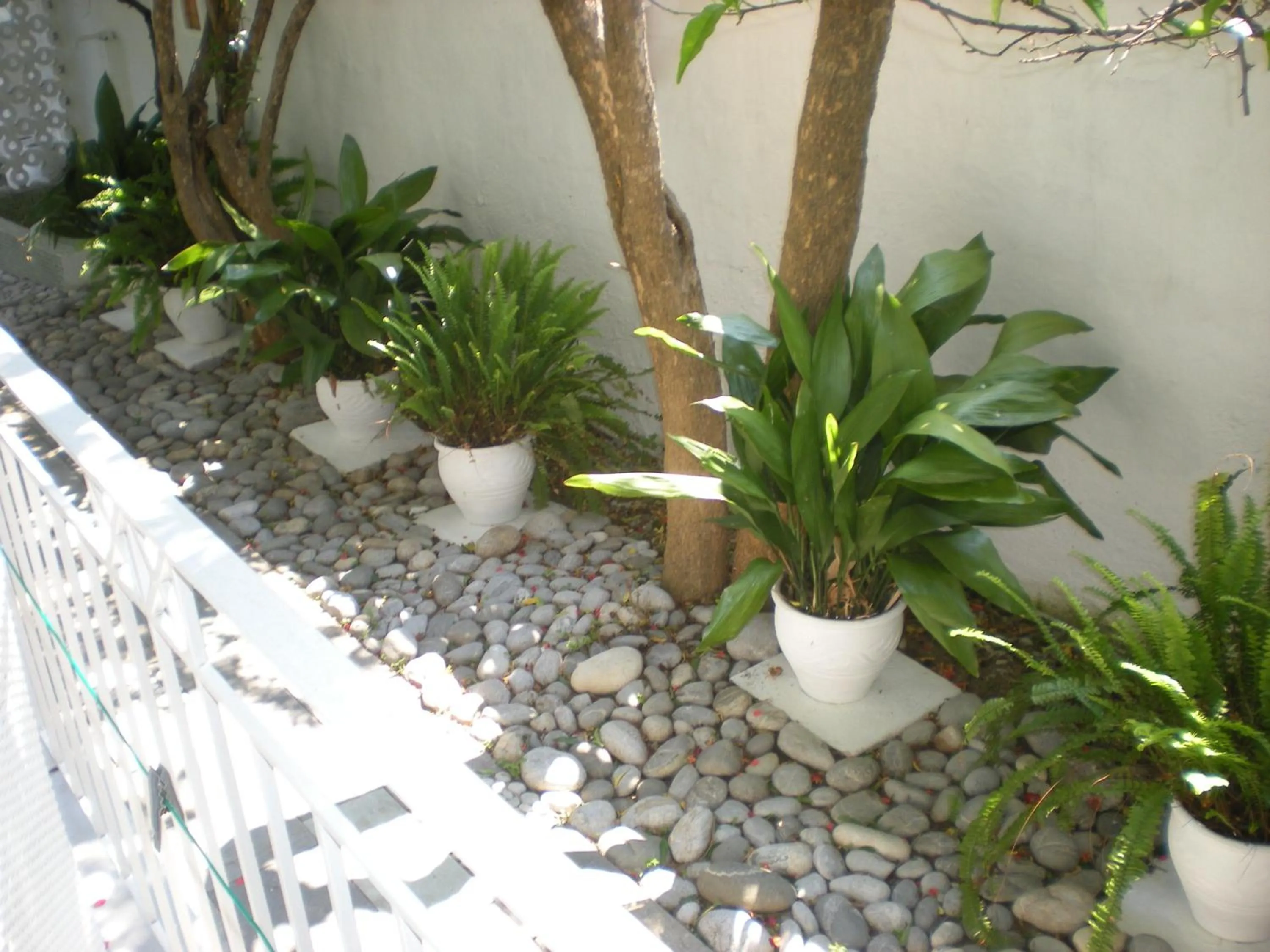 Decorative detail in Manolis' House
