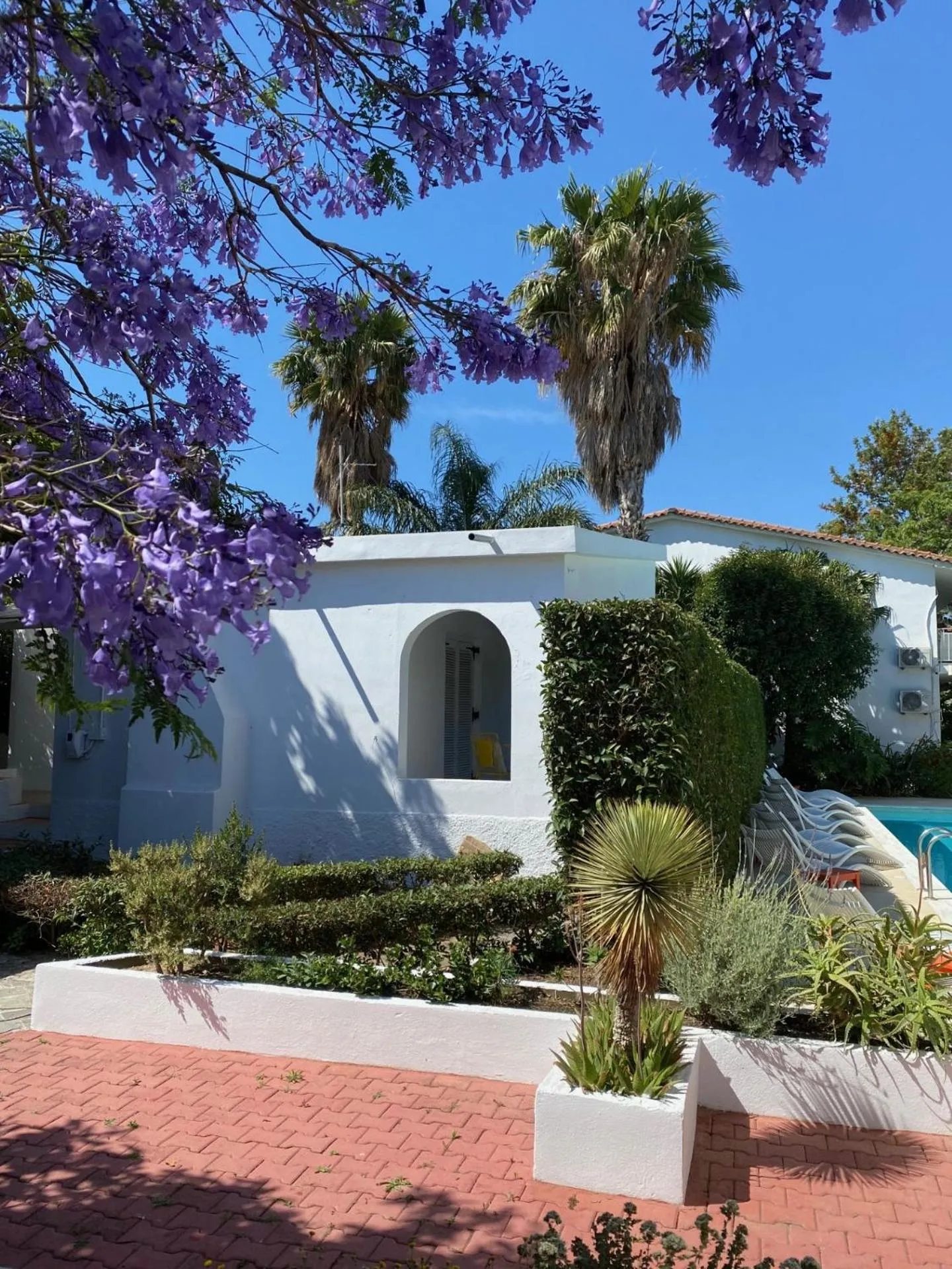 Garden view in Manolis' House