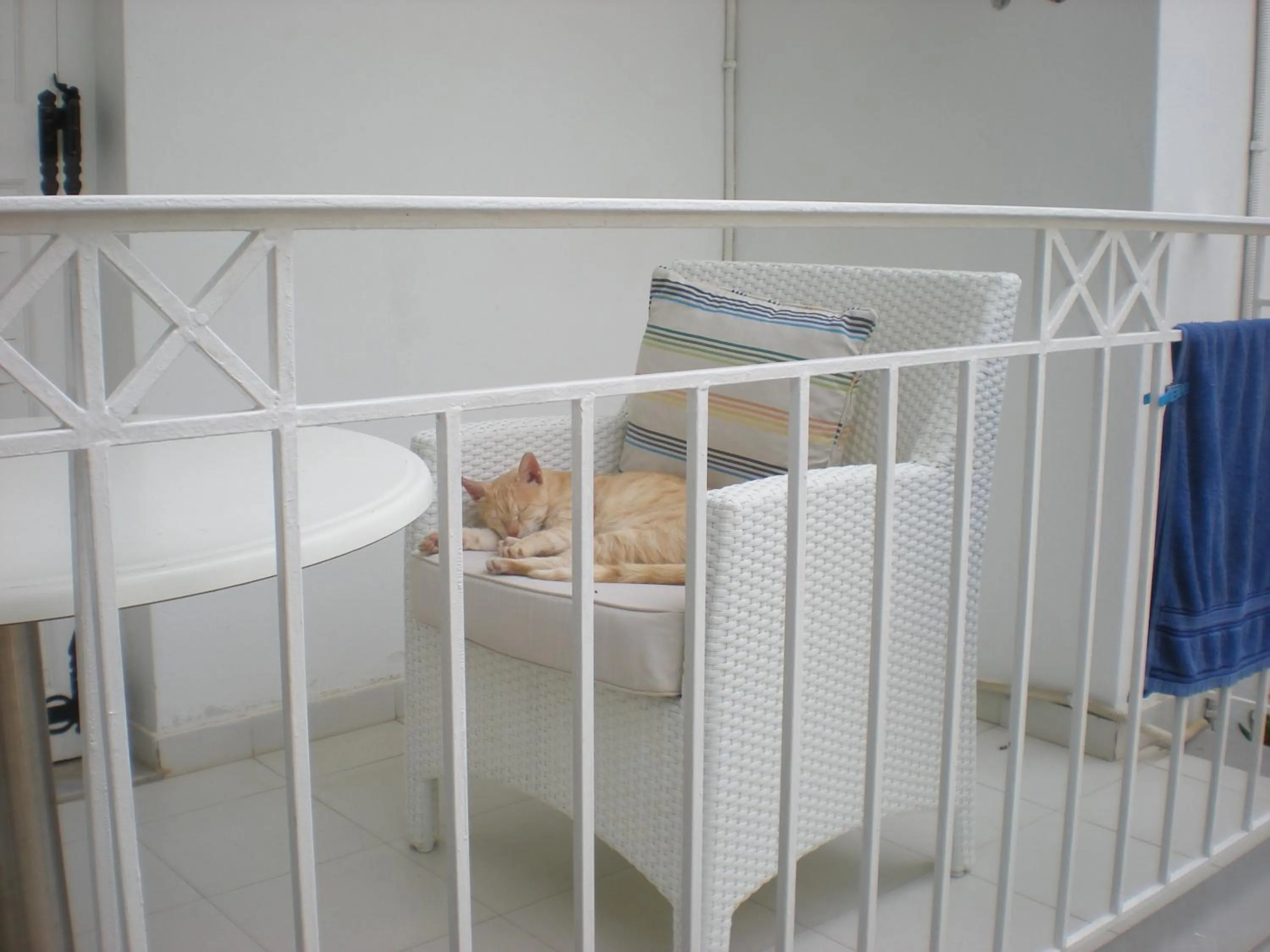 Balcony/Terrace, Bed in Manolis' House