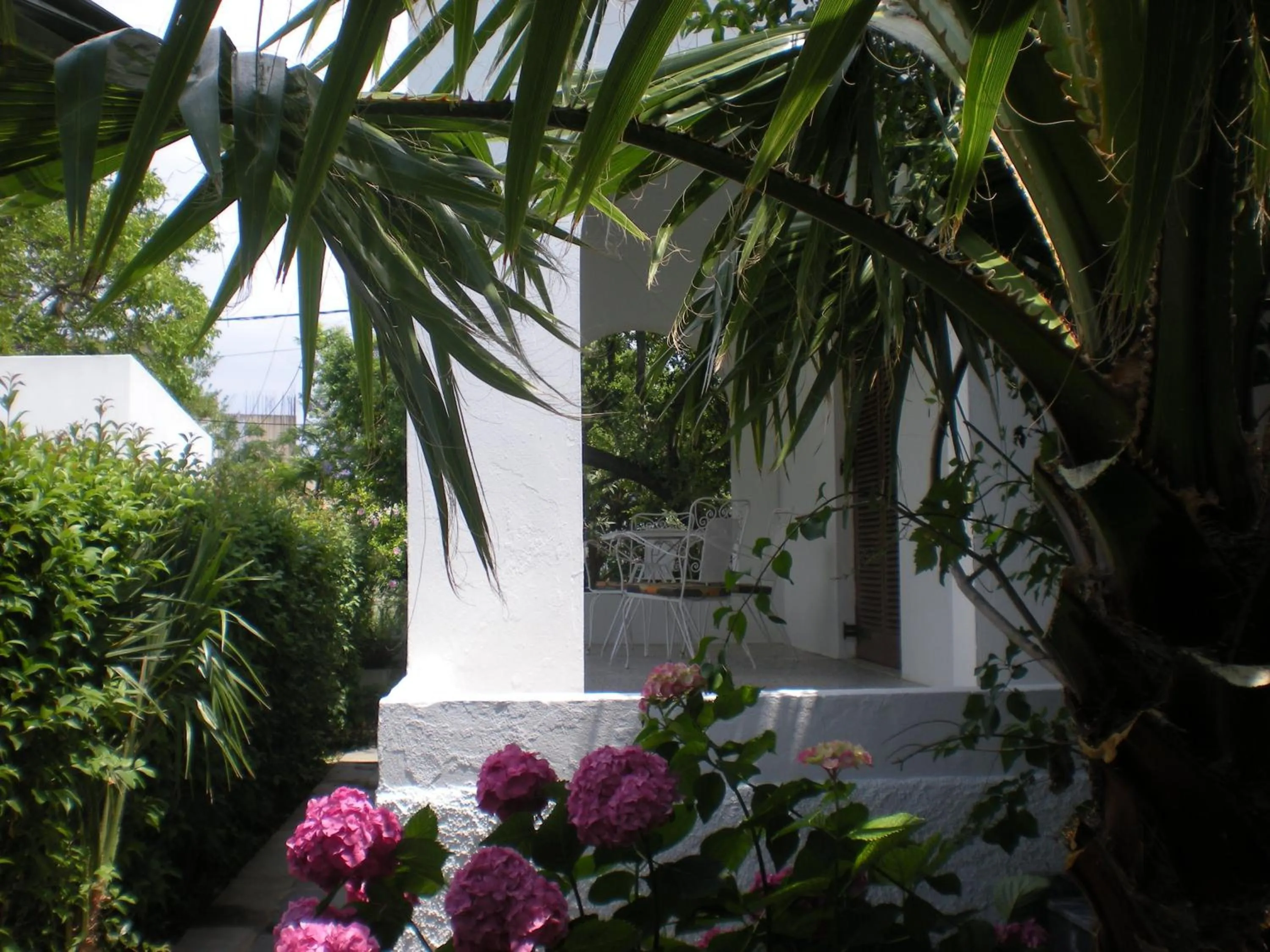 Decorative detail in Manolis' House