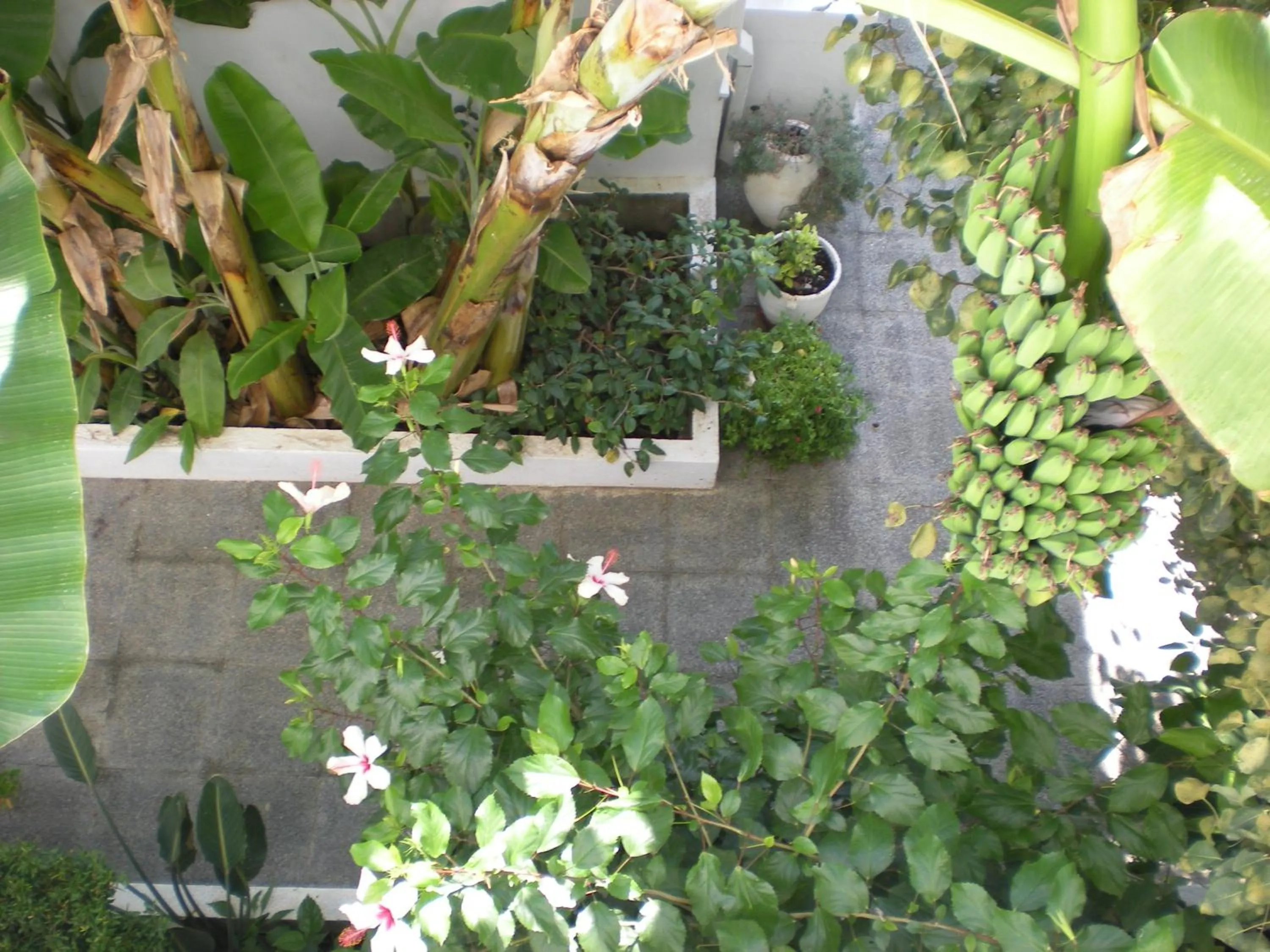 Decorative detail in Manolis' House