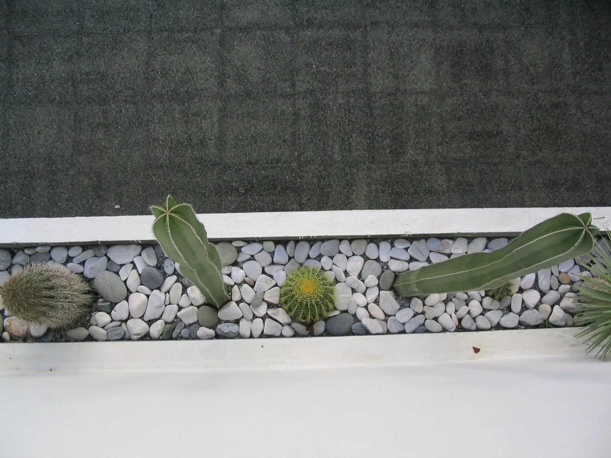 Decorative detail in Manolis' House