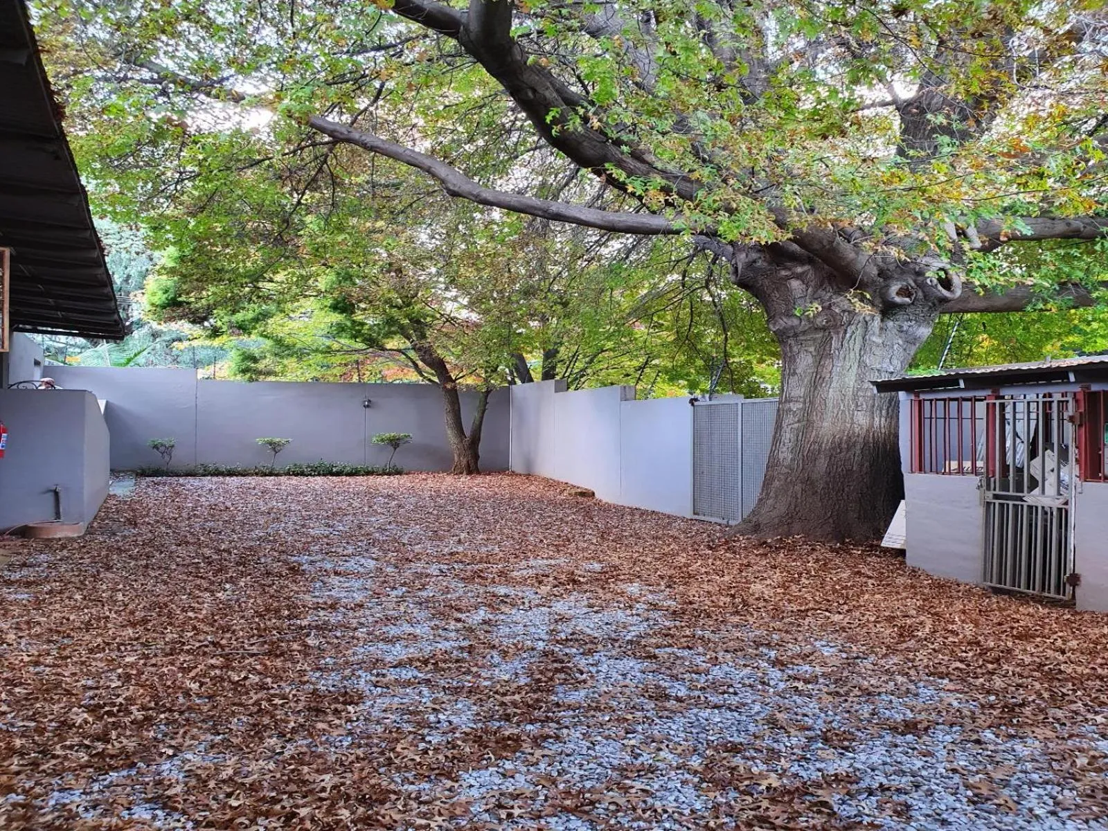 Parking in 7th Street Guesthouse