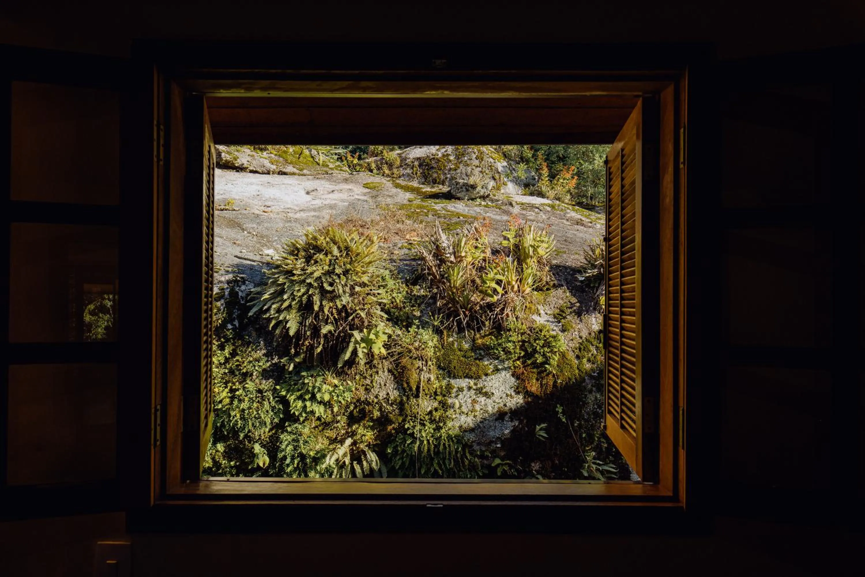 Garden view in Pousada Ahavanoah