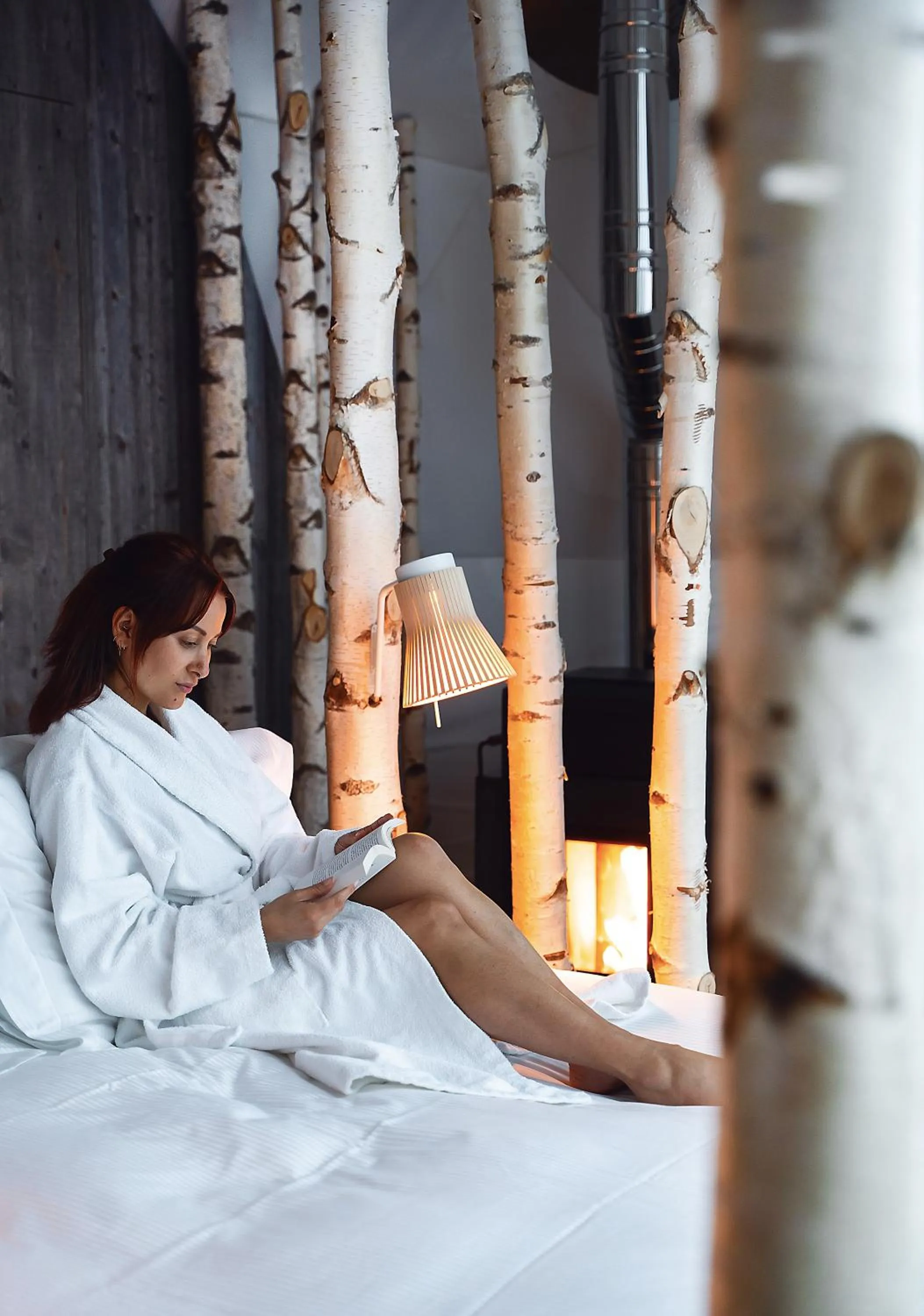 Property building in Whitepod Original