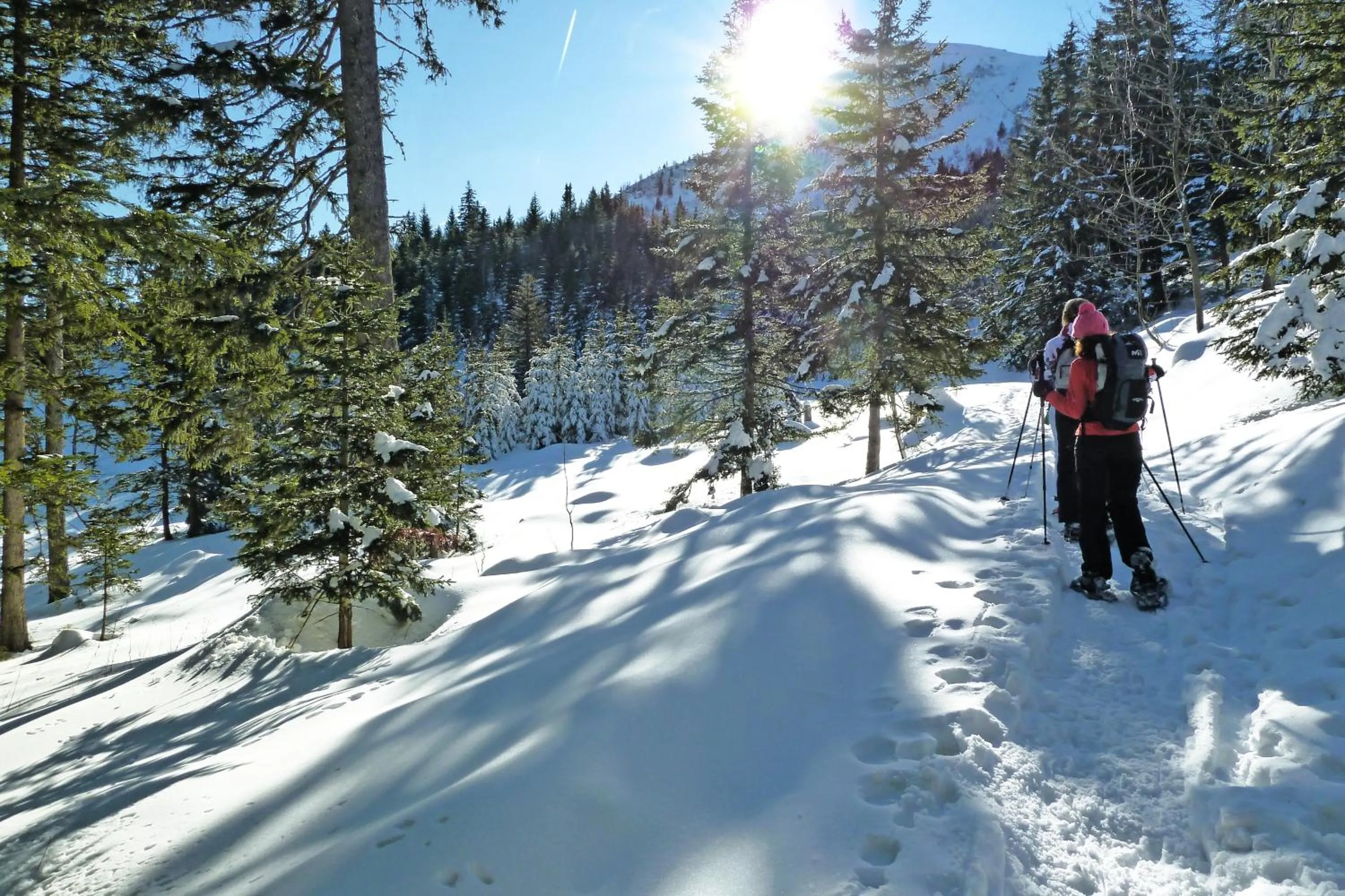 Activities in Whitepod Original