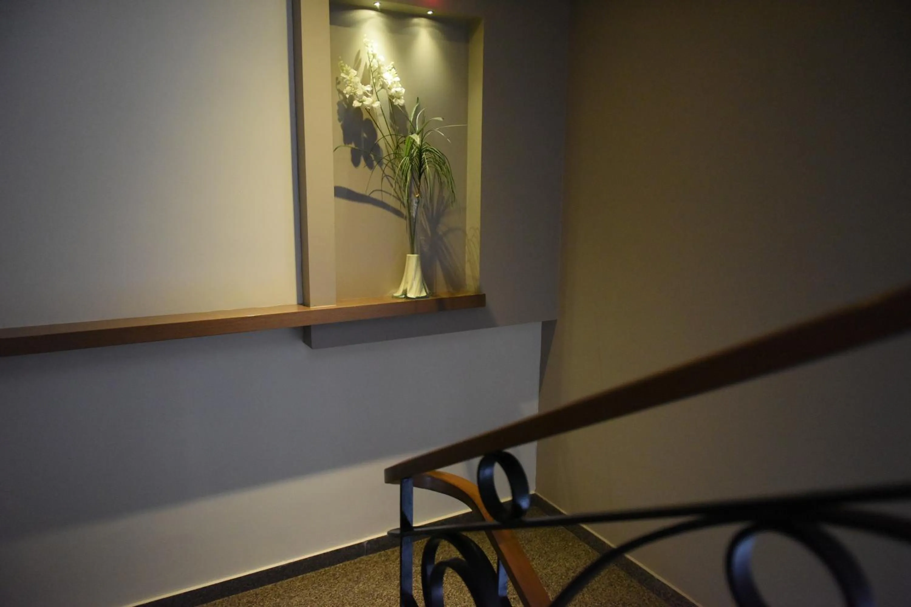 Area and facilities, TV/Entertainment Center in Baliktasi City Hotel & Spa