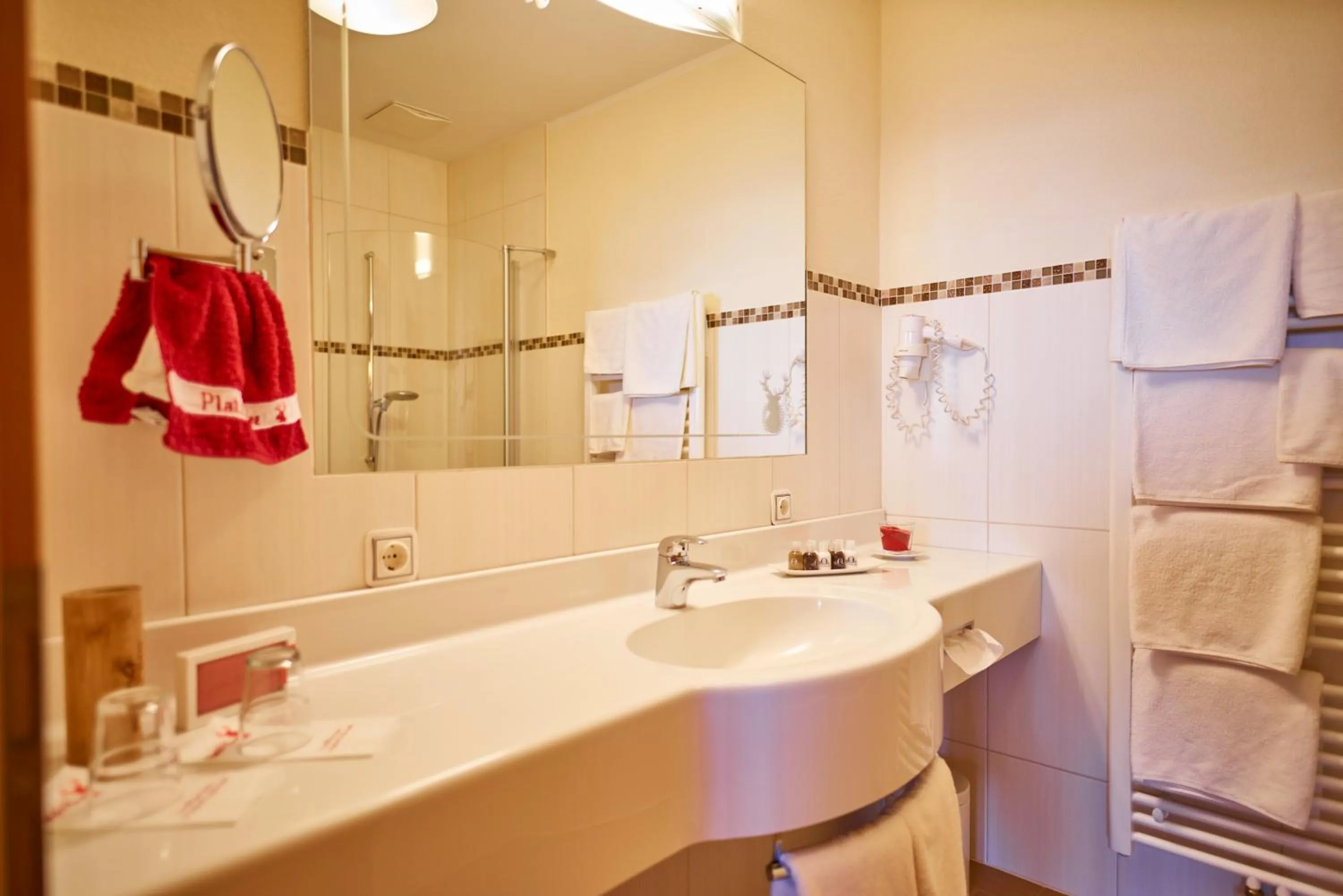 Bathroom in Berggasthof Platzlalm