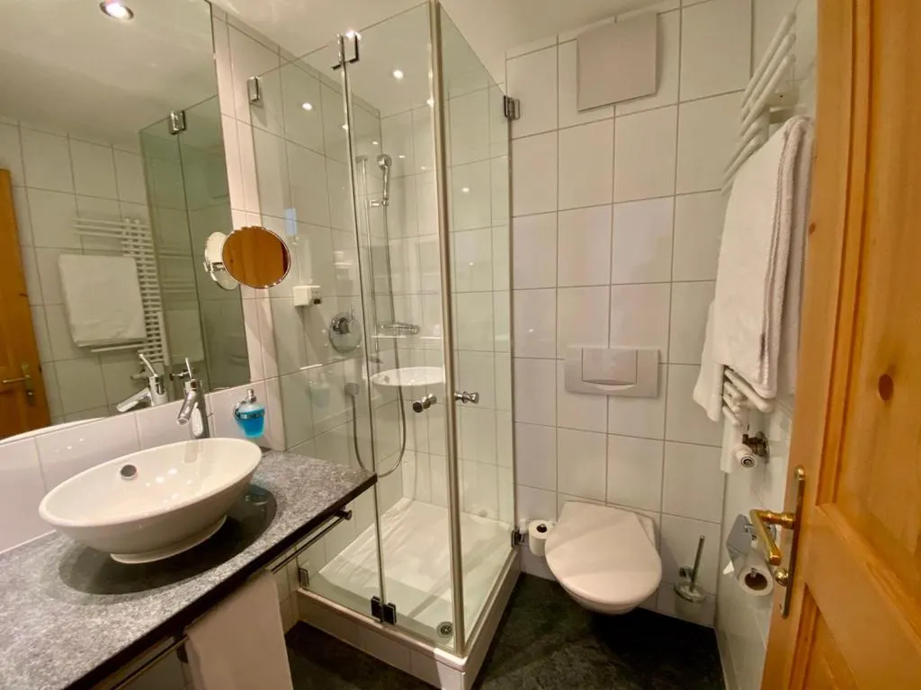 Toilet in Hotel Alpina Parpan