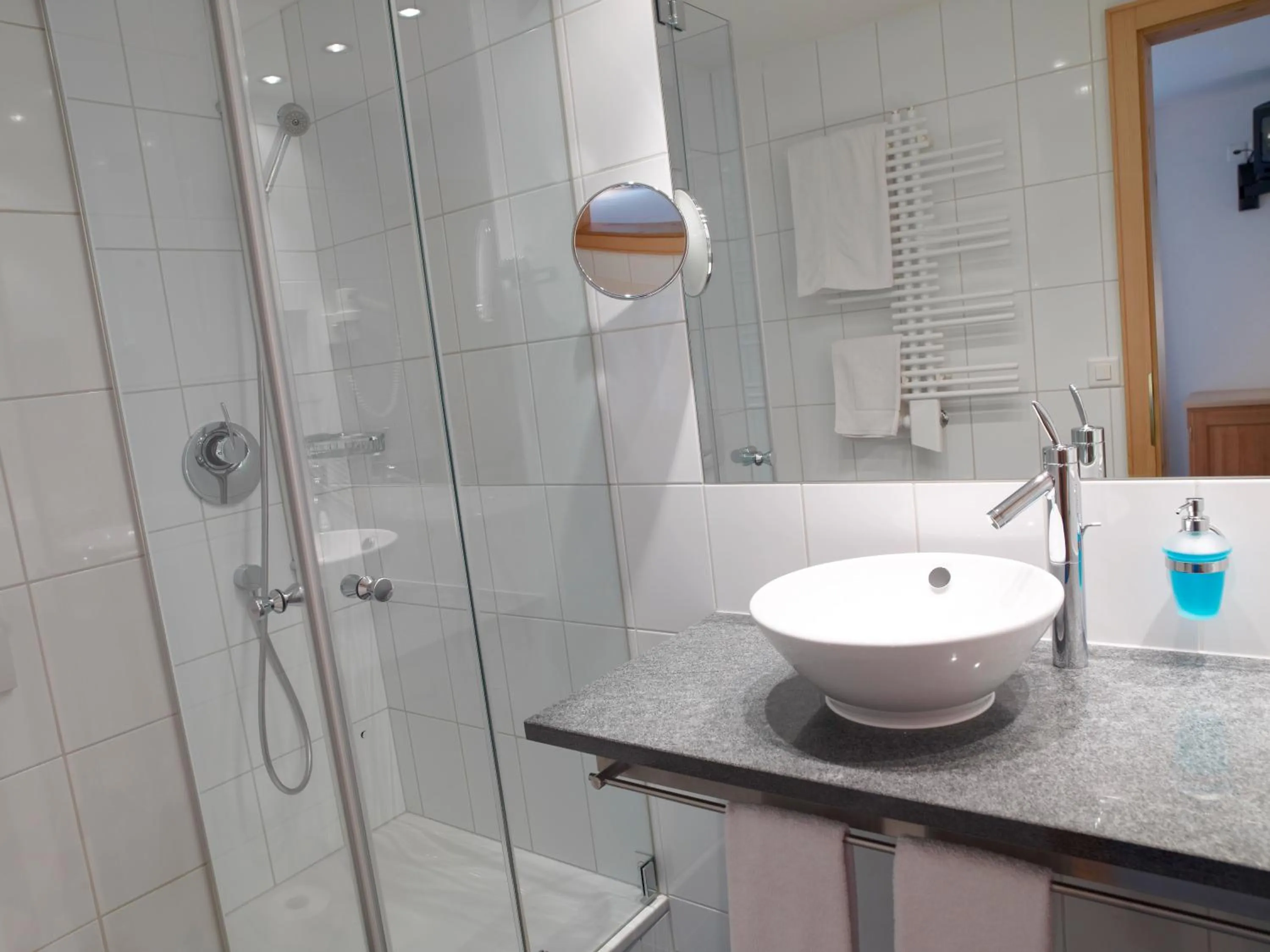 Toilet in Hotel Alpina Parpan