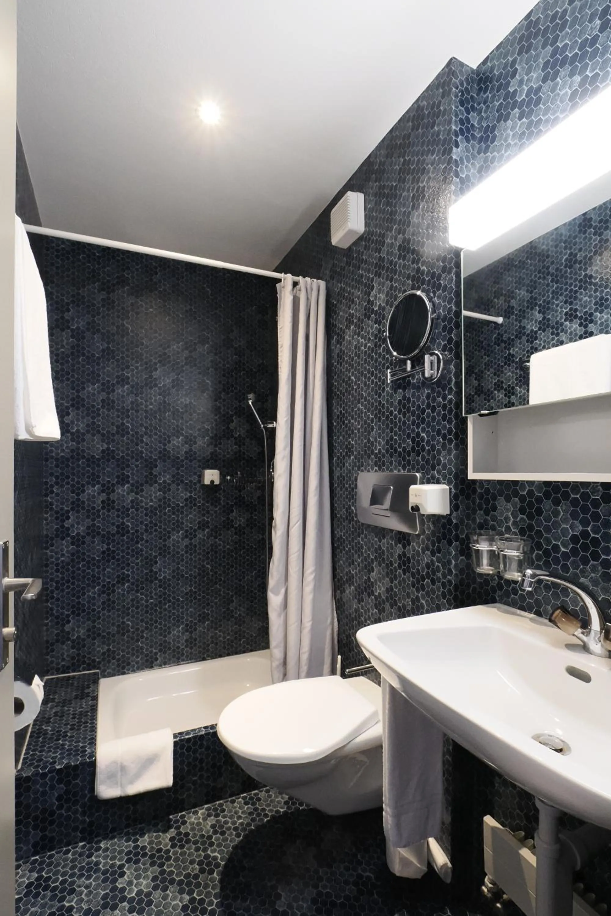 Toilet in Hotel Alpina Parpan