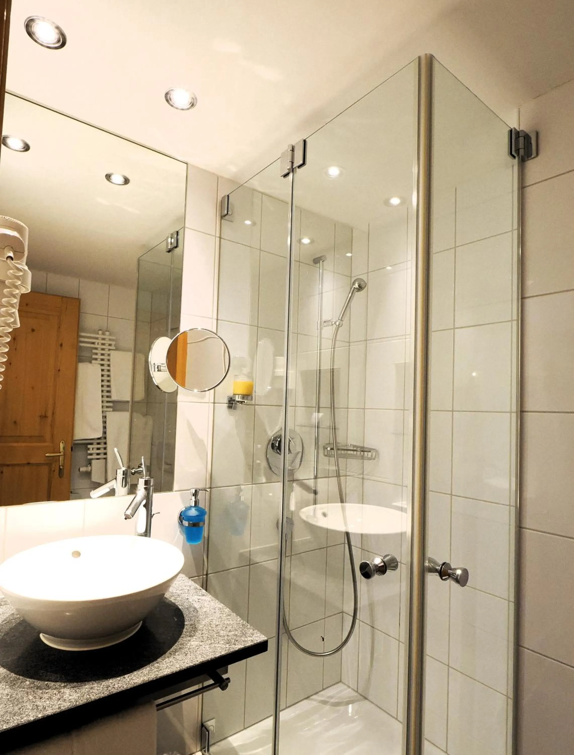 Toilet in Hotel Alpina Parpan