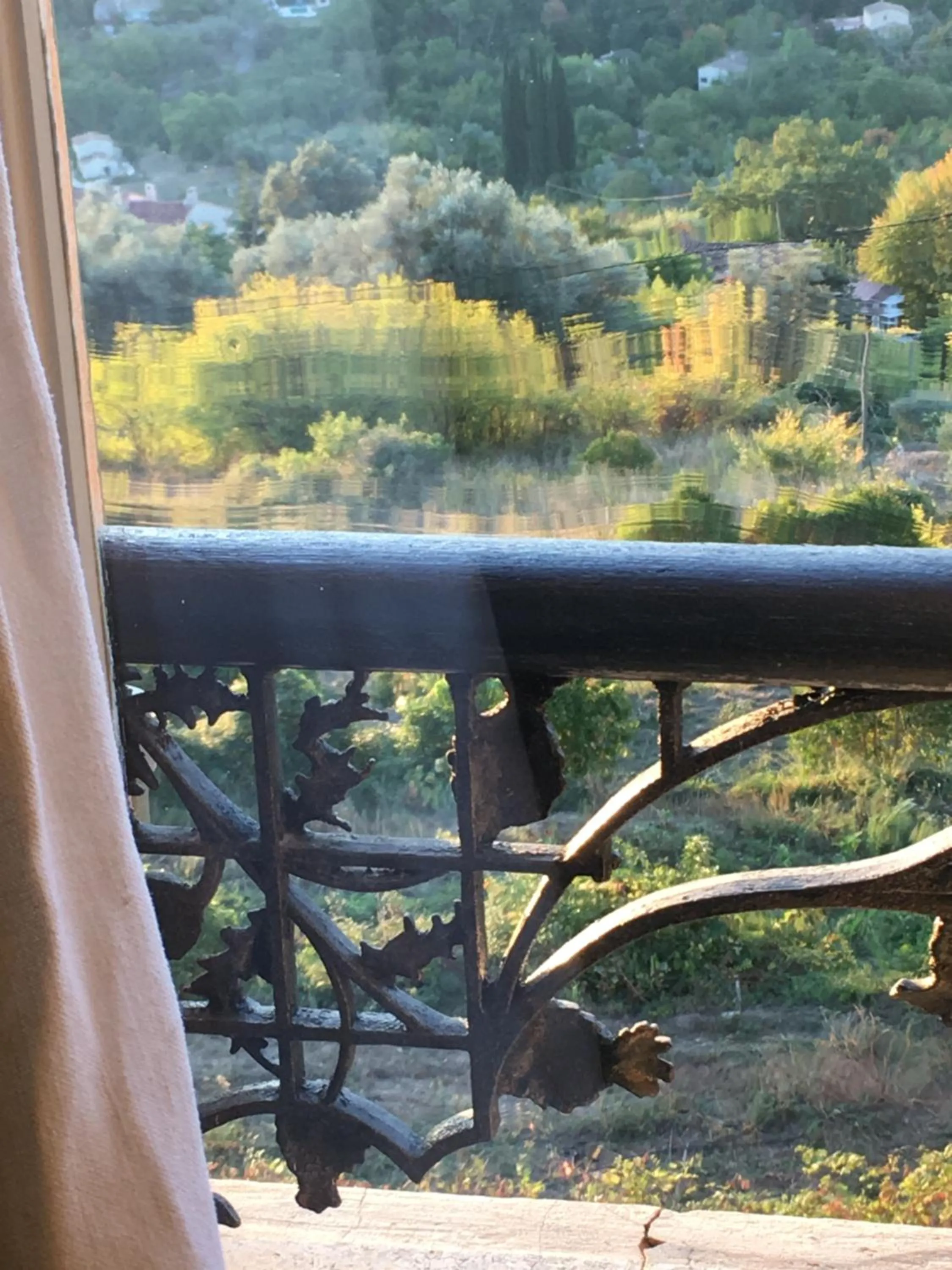 Garden view in Hôtel particulier des Jasmins