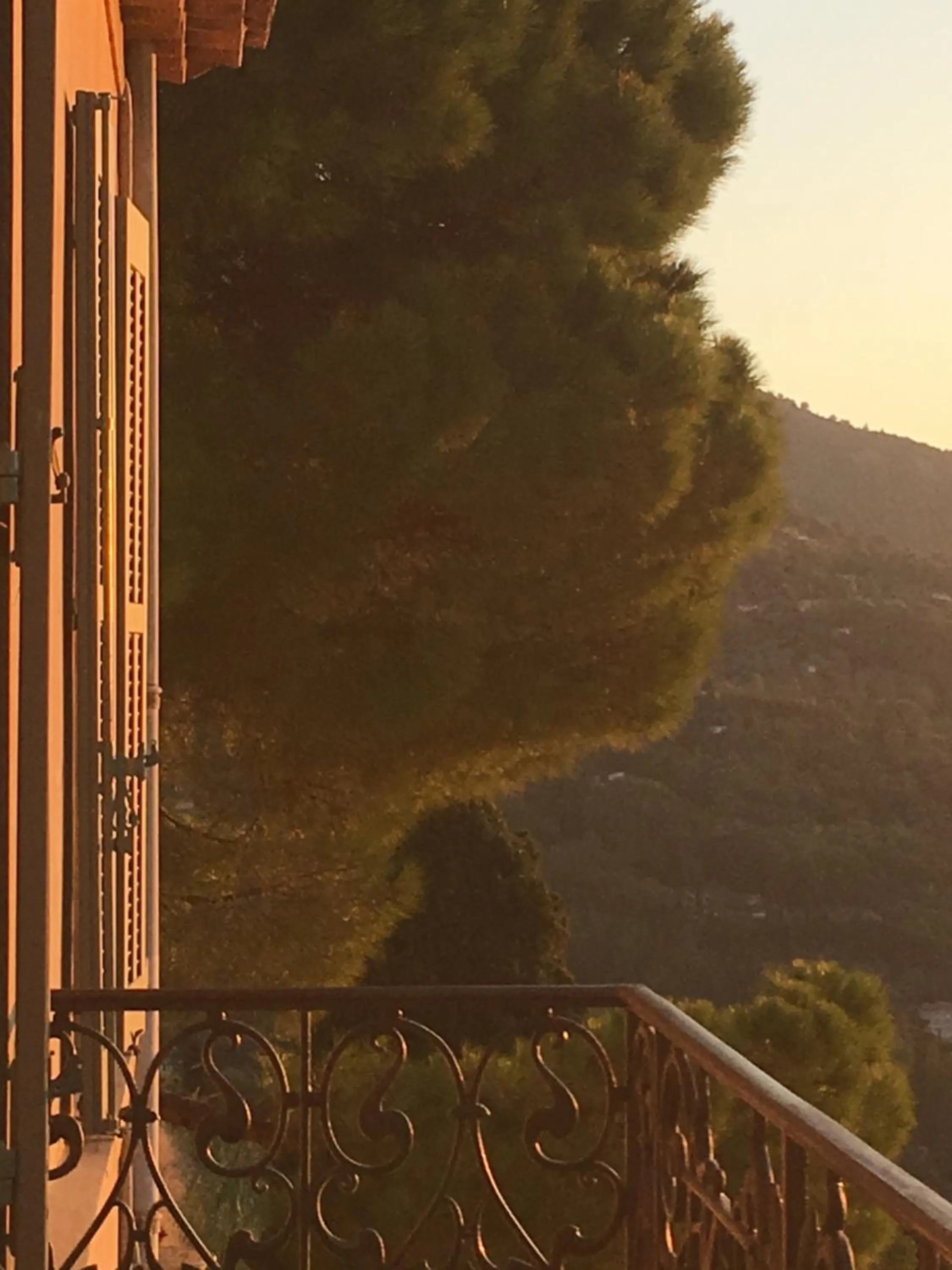 Garden view in Hôtel particulier des Jasmins
