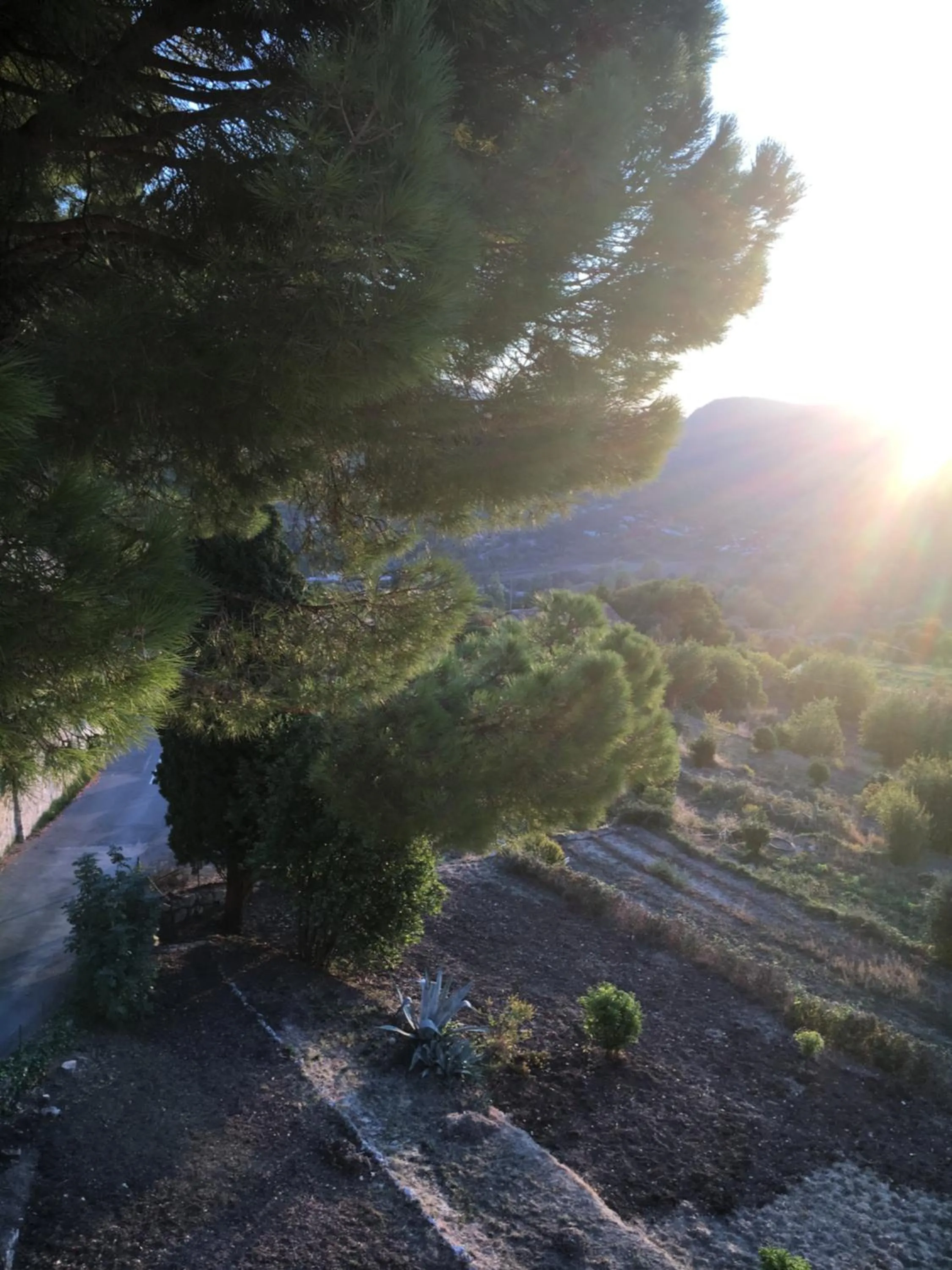 Natural landscape in Hôtel particulier des Jasmins