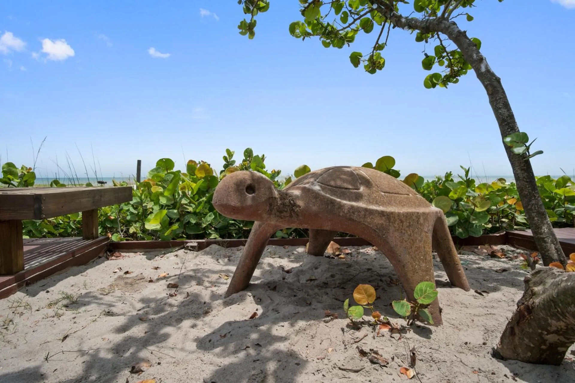 Patio in Beach Place Guesthouses
